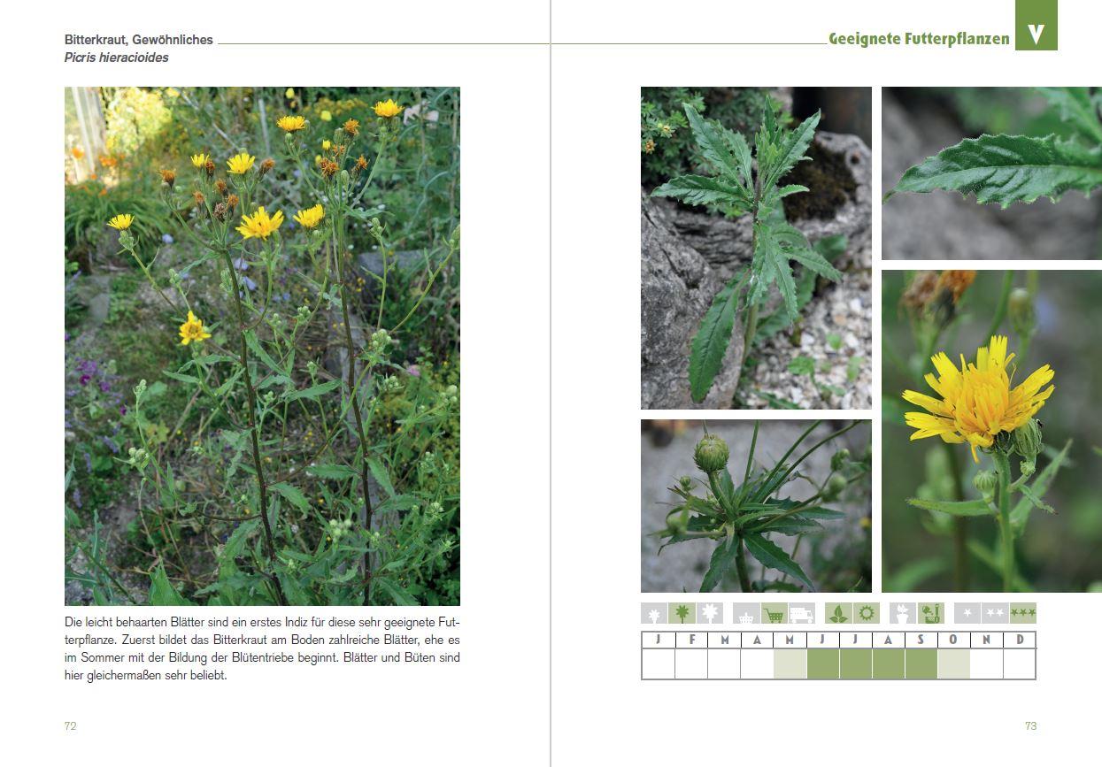 Beispielinhalt (Bild) Der Schildkröten-Gärtner - Naturnahe Ernährung Europäischer Landschildkröten