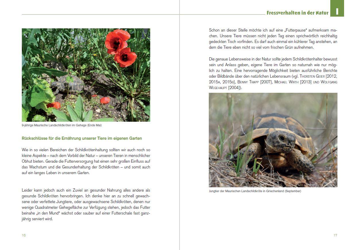 Beispielinhalt (Bild) Der Schildkröten-Gärtner - Naturnahe Ernährung Europäischer Landschildkröten