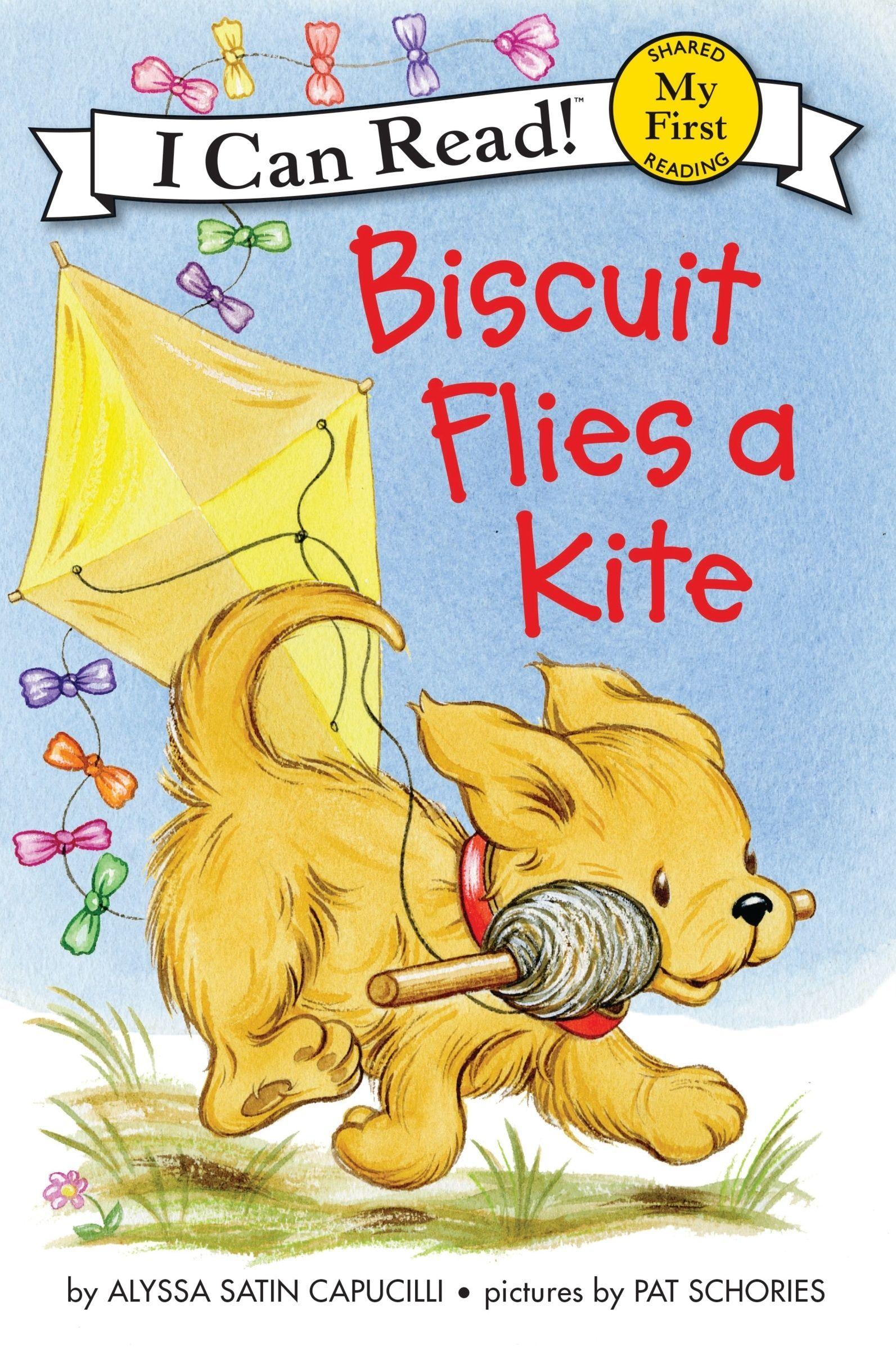 Vorderes Coverbild Biscuit Flies a Kite