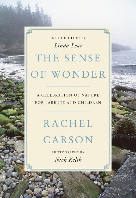 Vorderes Coverbild The Sense of Wonder