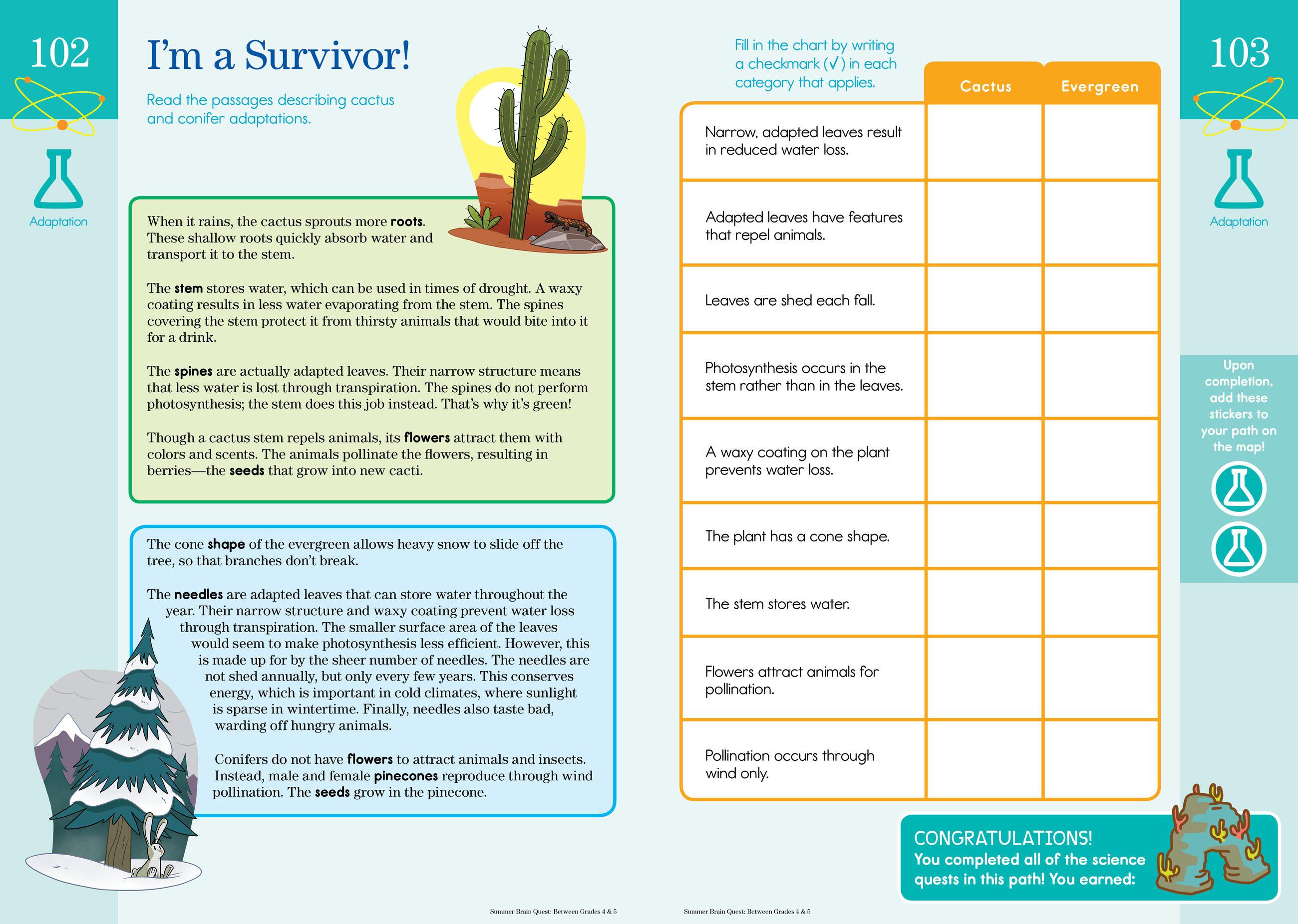 Beispielinhalt (Bild) Summer Brain Quest: Between Grades 4 & 5