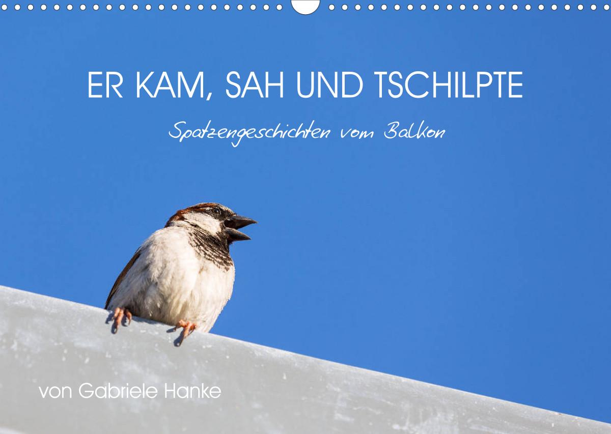 Vorderes Coverbild Basic Principles and Potential Applications of Holographic Microwave Imaging