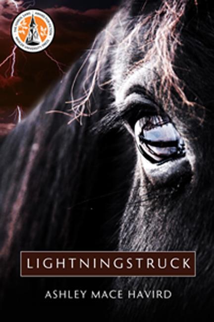 Vorderes Coverbild Lightningstruck