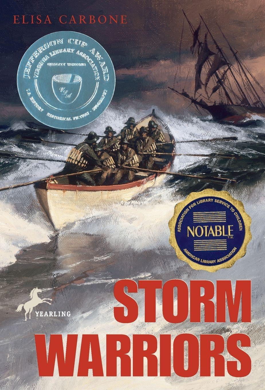 Vorderes Coverbild Storm Warriors