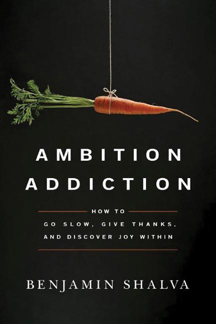 Vorderes Coverbild Ambition Addiction