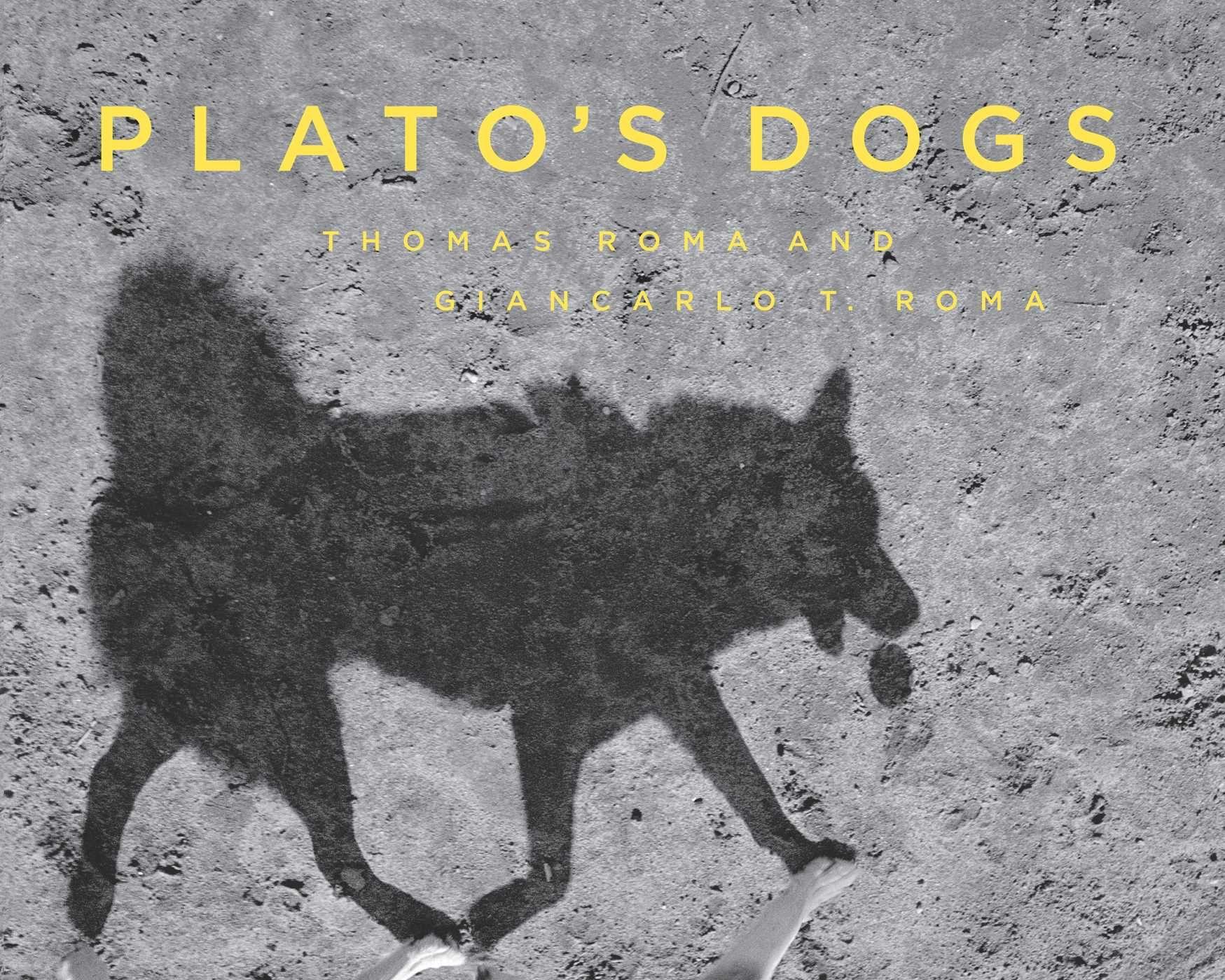 Vorderes Coverbild Plato's Dogs