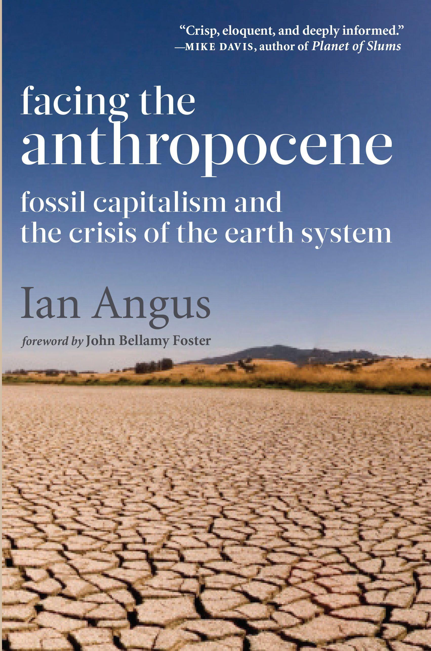 Vorderes Coverbild Facing the Anthropocene