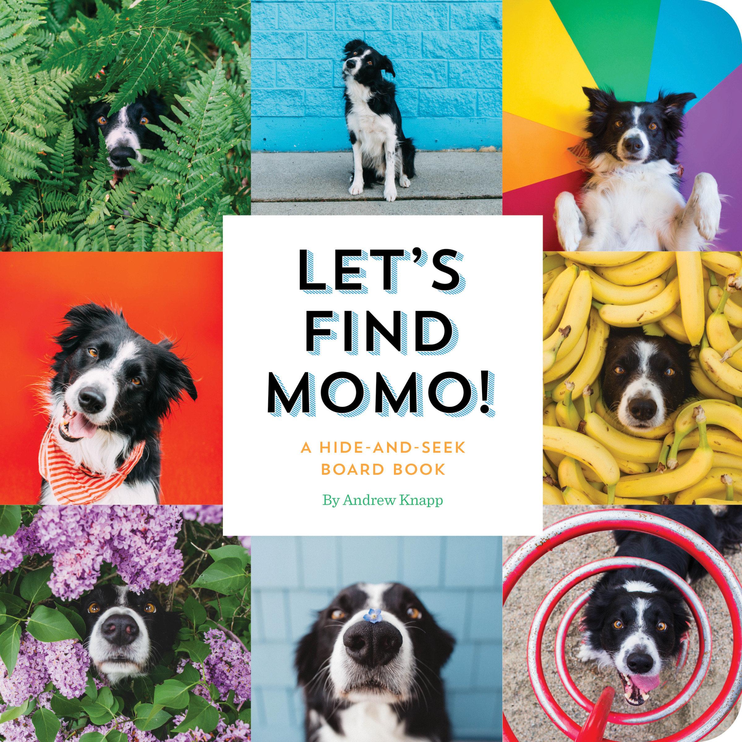 Vorderes Coverbild Let's Find Momo!