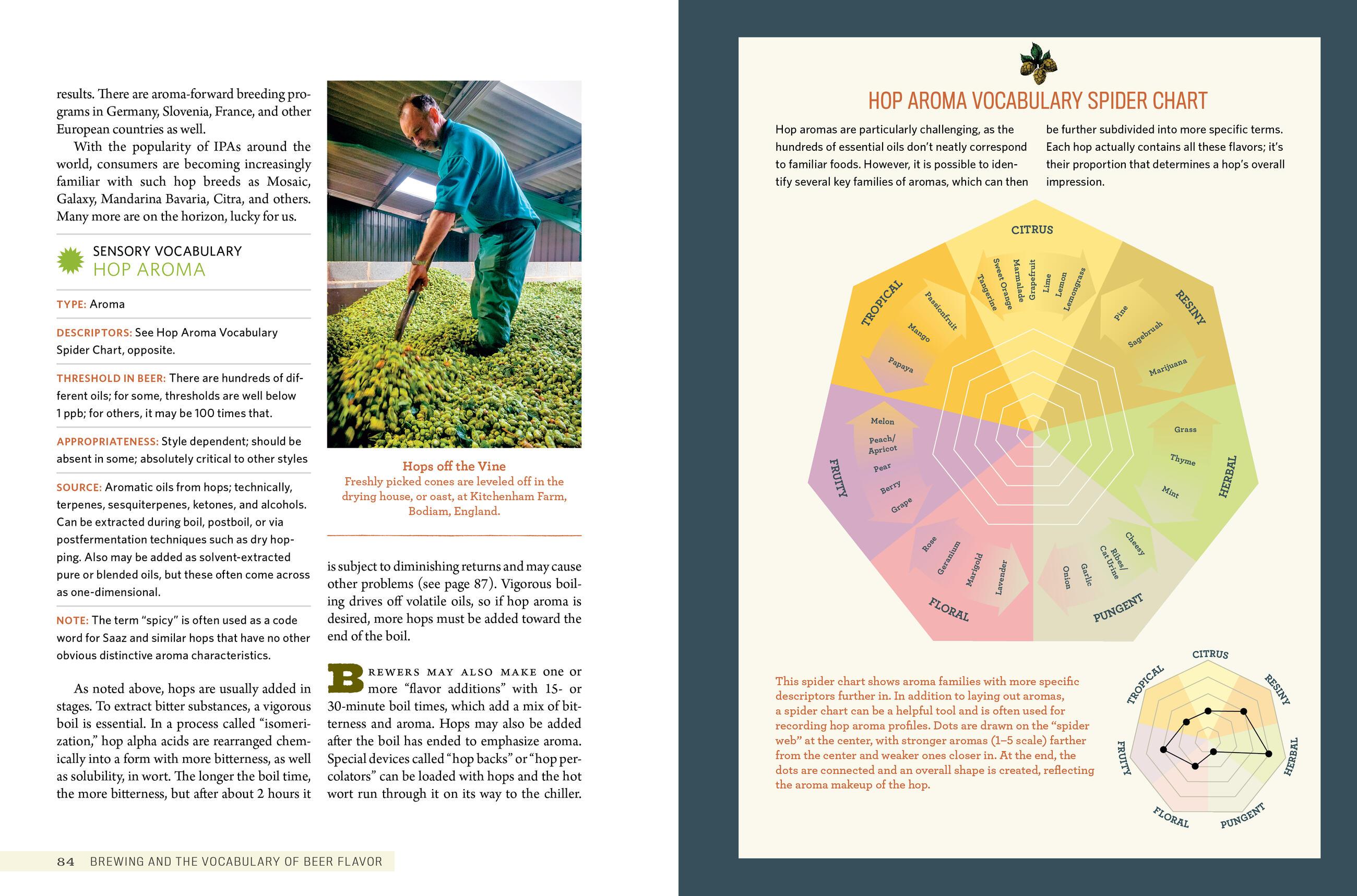 Beispielinhalt (Bild) Tasting Beer