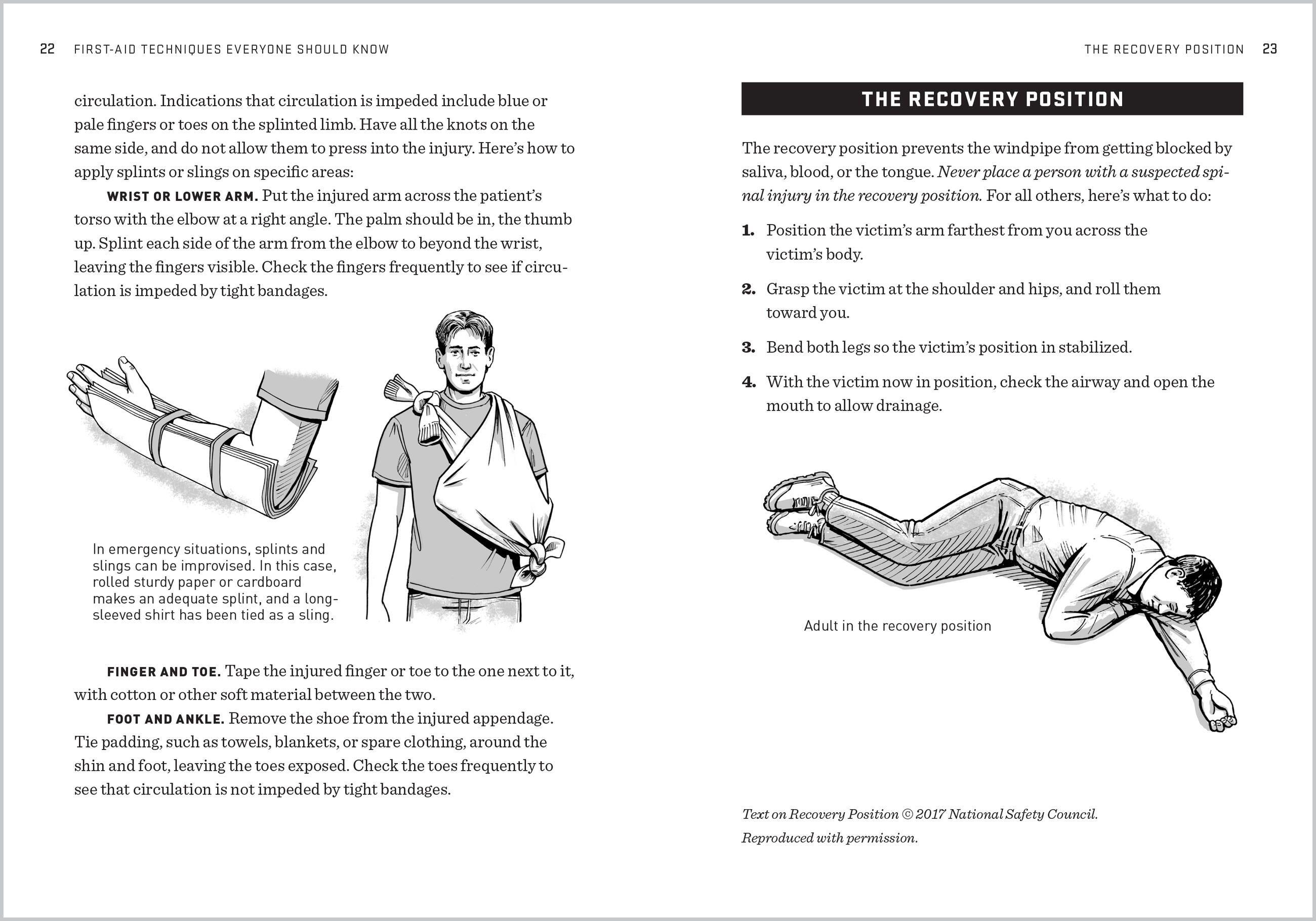 Beispielinhalt (Bild) The Natural First Aid Handbook