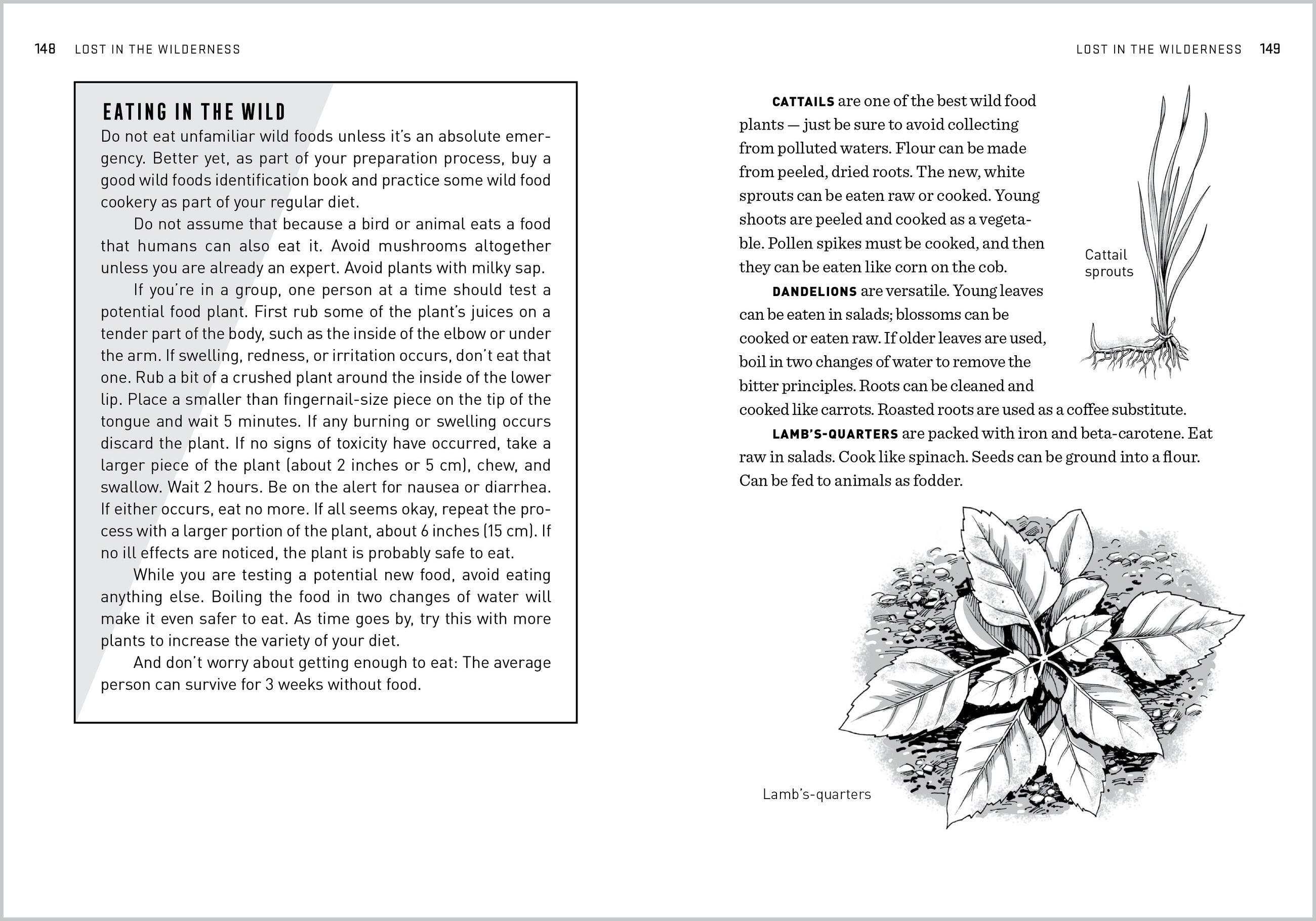 Beispielinhalt (Bild) The Natural First Aid Handbook