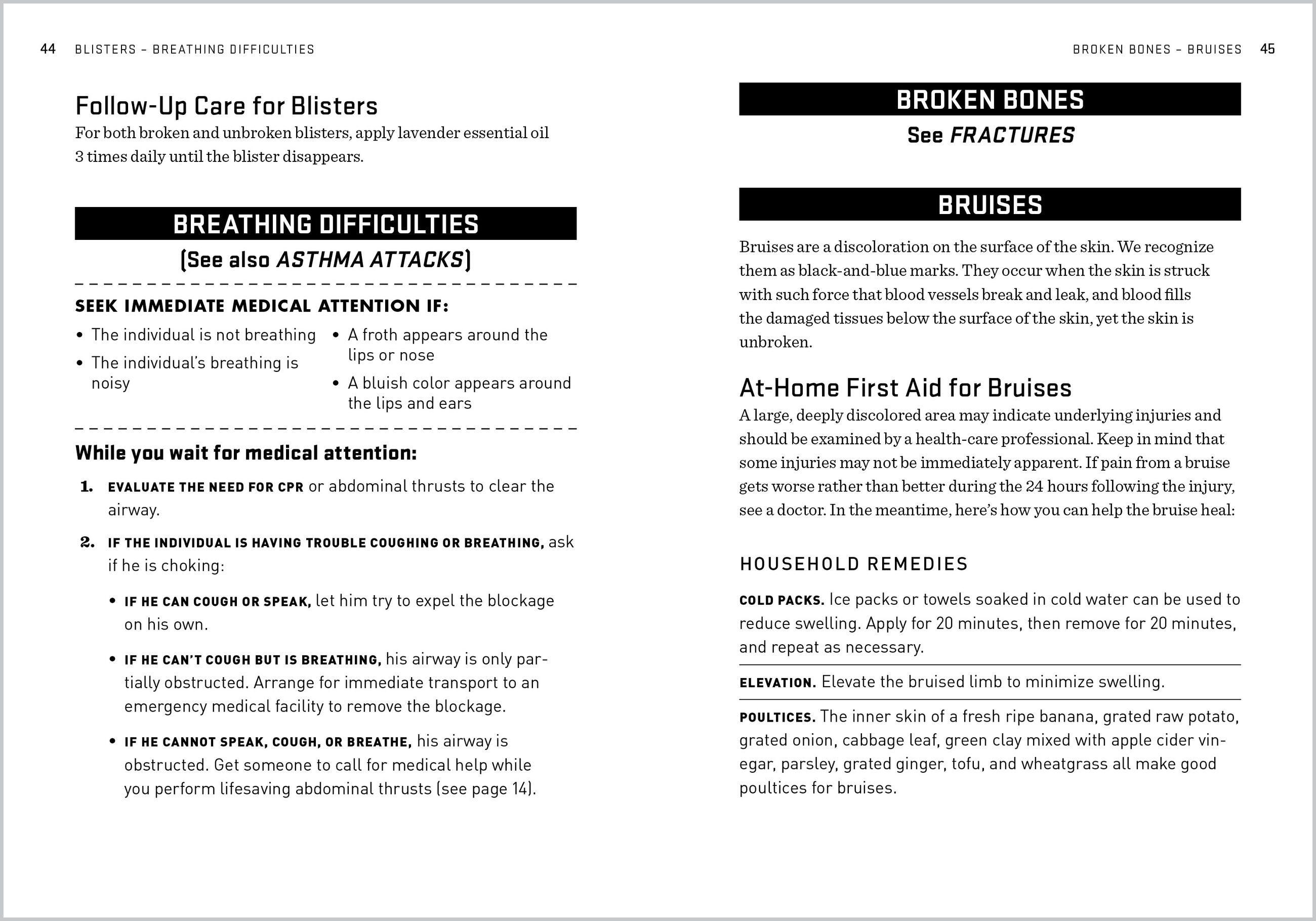 Beispielinhalt (Bild) The Natural First Aid Handbook