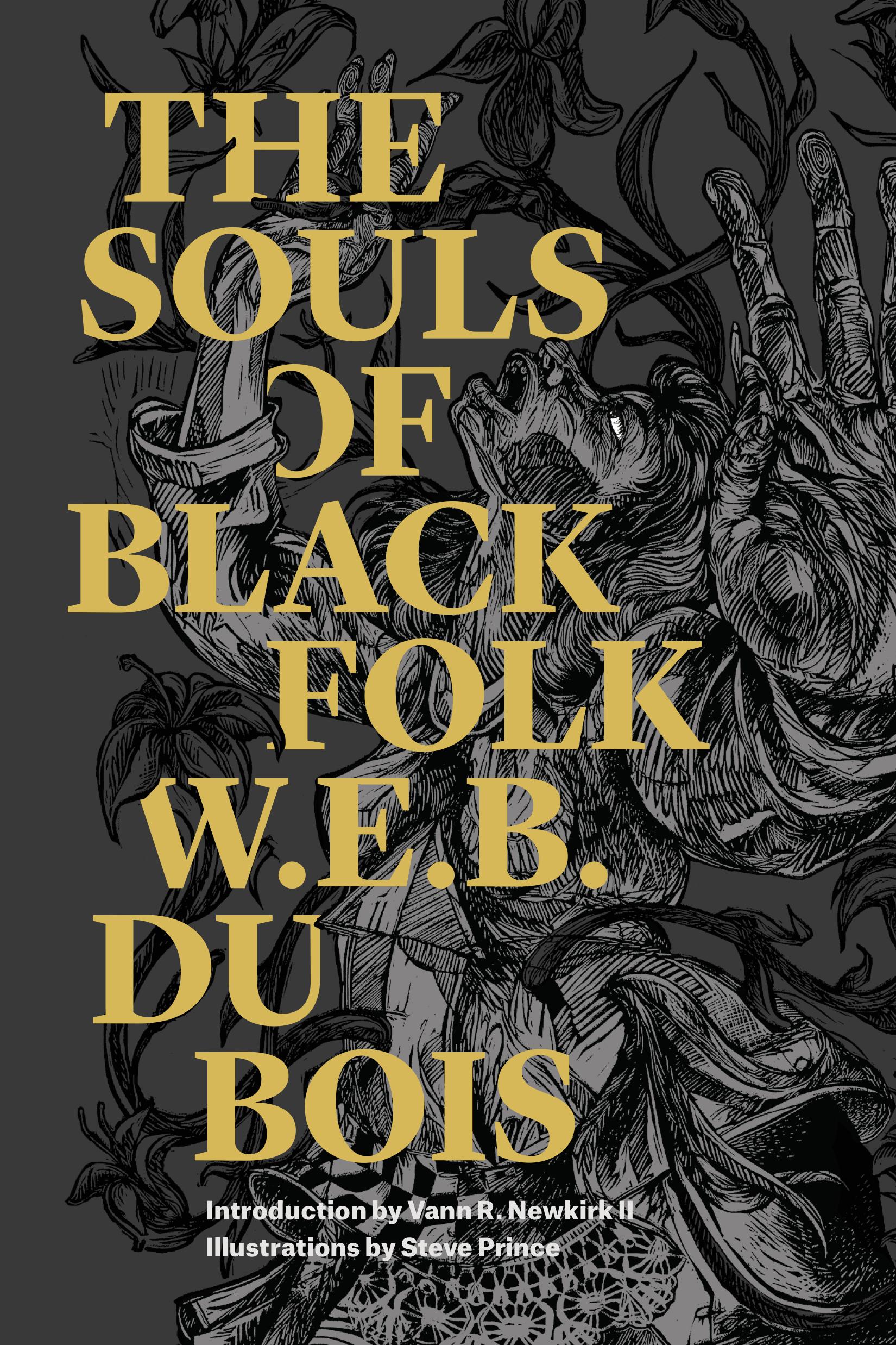 Vorderes Coverbild The Souls of Black Folk