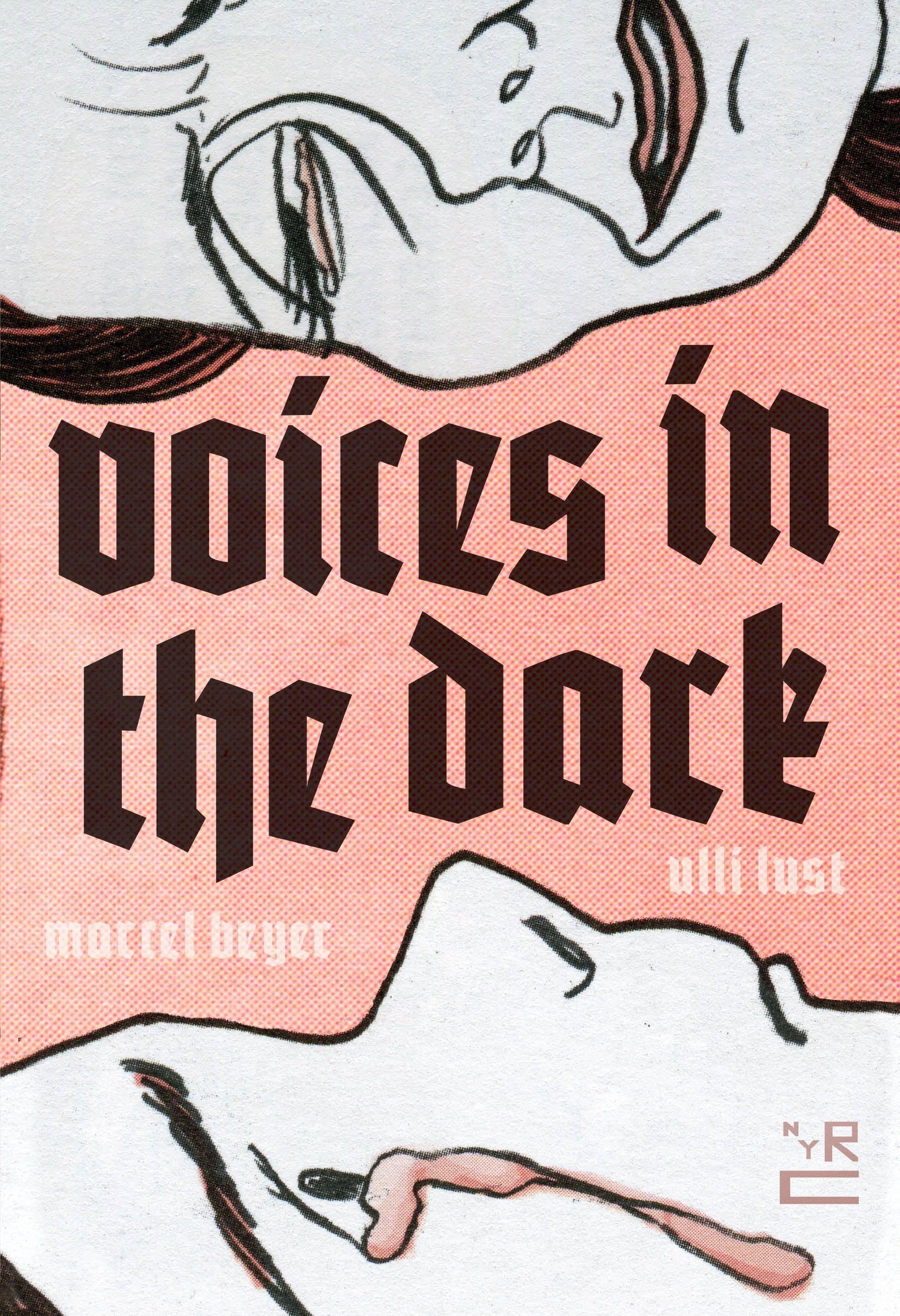 Vorderes Coverbild Voices in the Dark