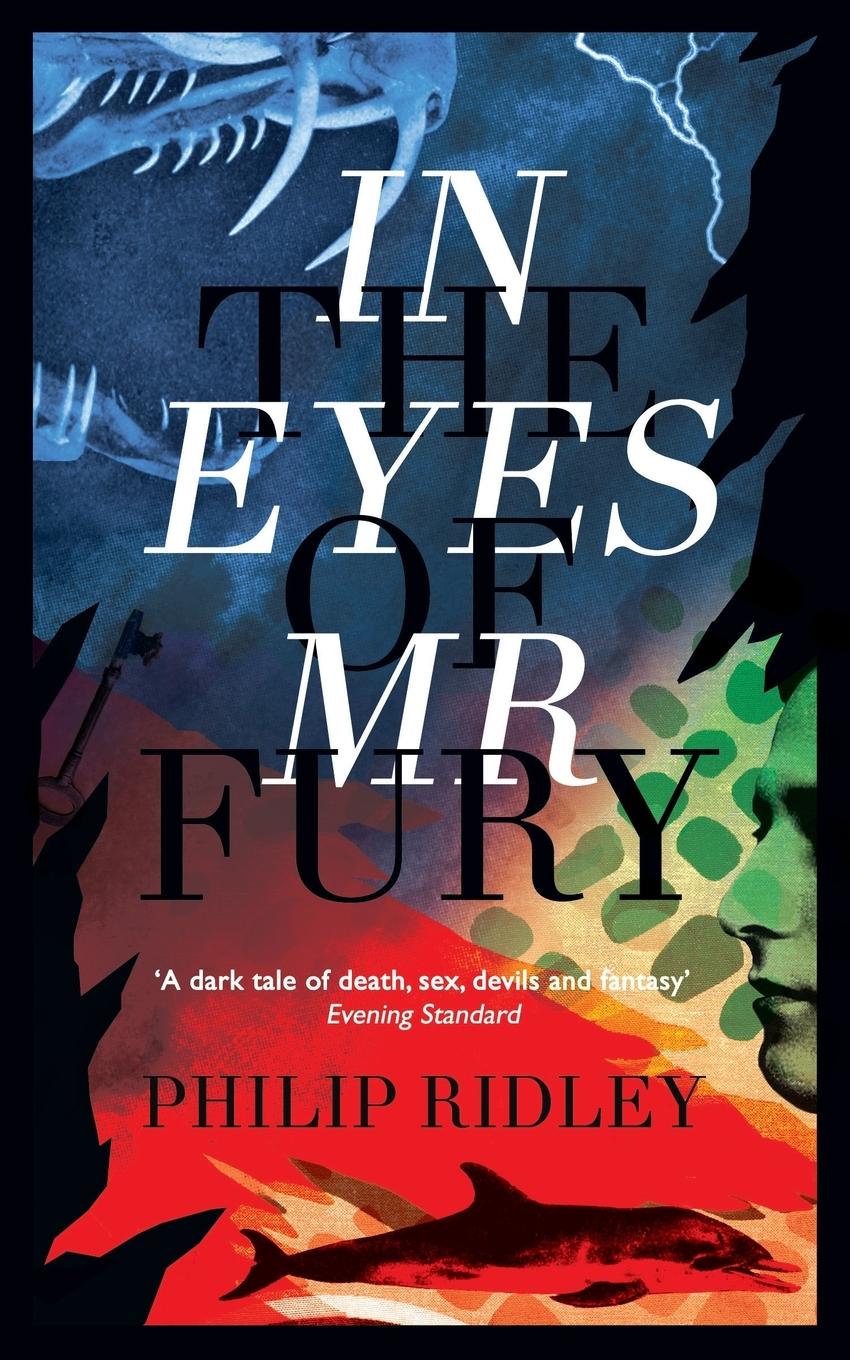 Vorderes Coverbild In the Eyes of Mr Fury