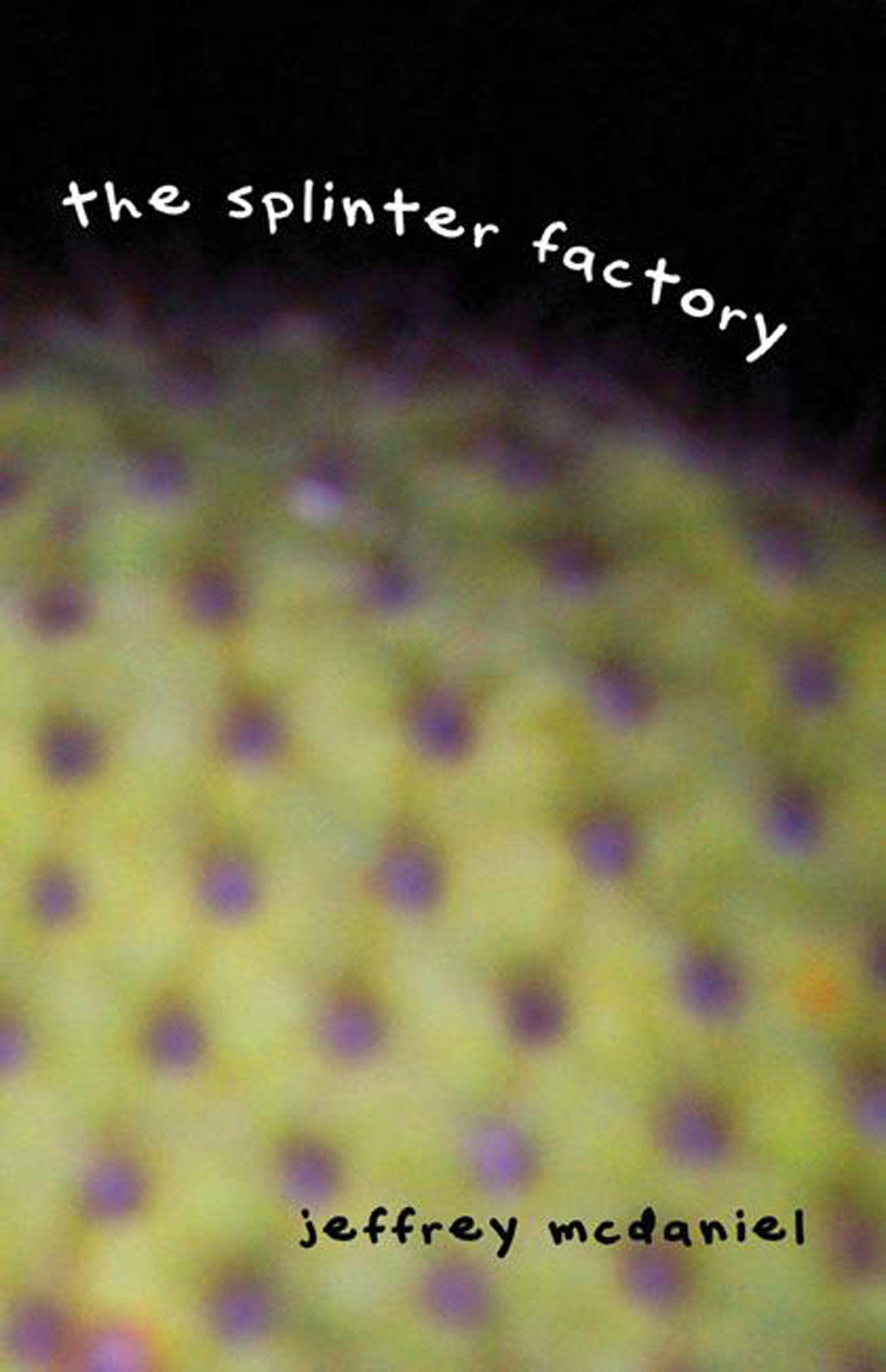 Vorderes Coverbild Splinter Factory