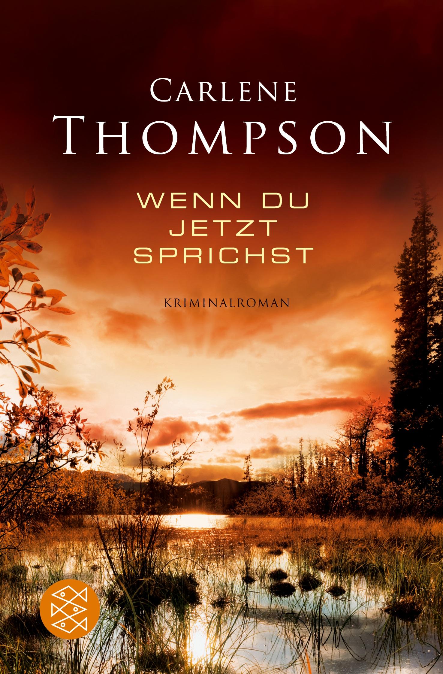Vorderes Coverbild Wenn du jetzt sprichst