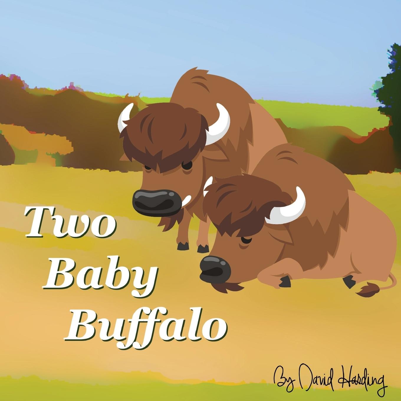 Vorderes Coverbild Two Baby Buffalo