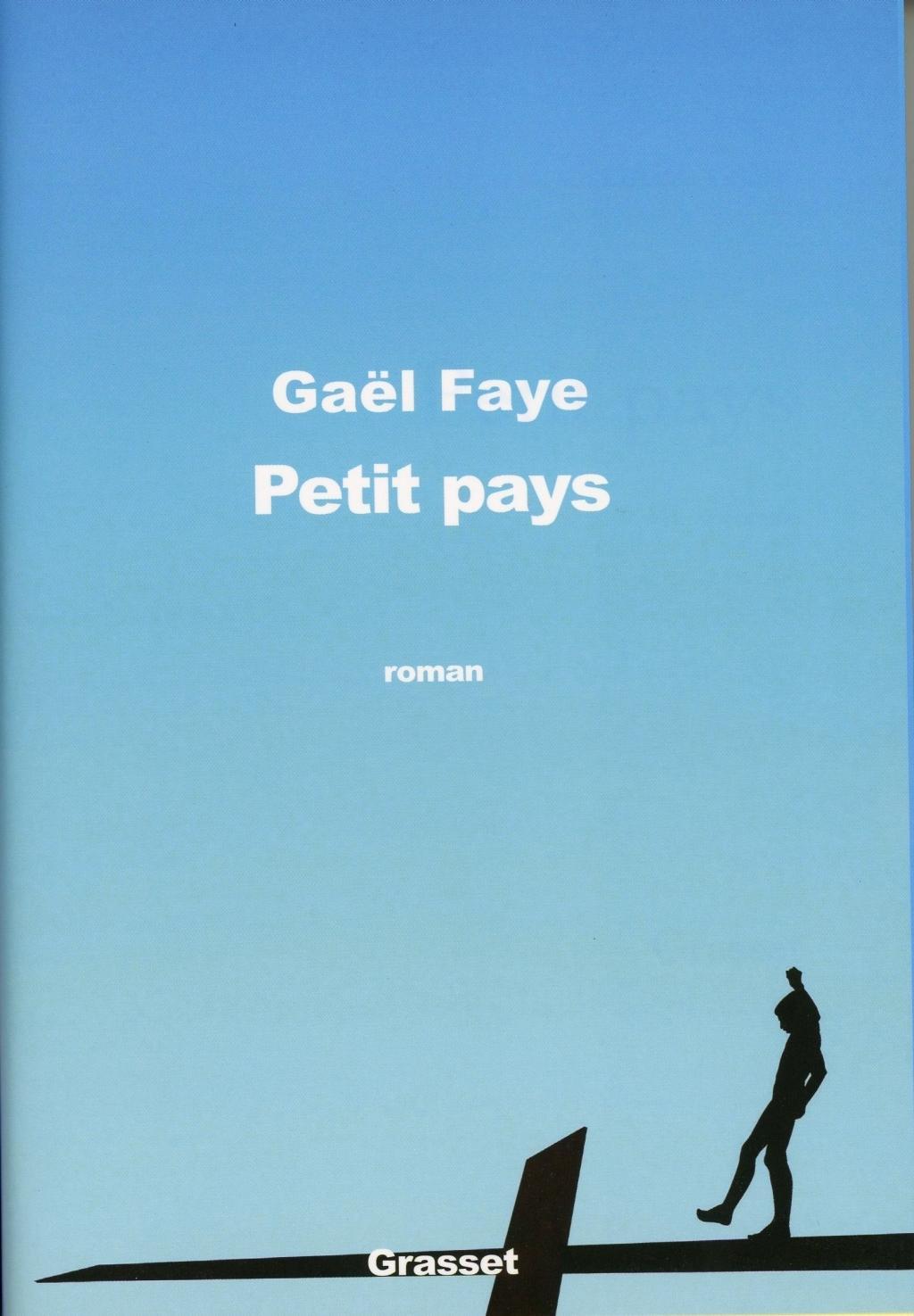 Vorderes Coverbild Petit pays