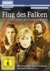 Vorderes Coverbild Flug des Falken