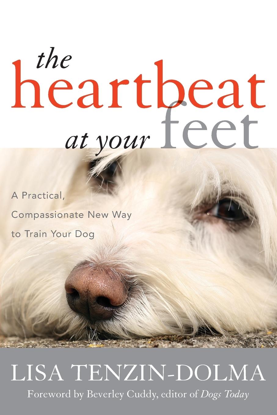 Vorderes Coverbild Heartbeat at Your Feet