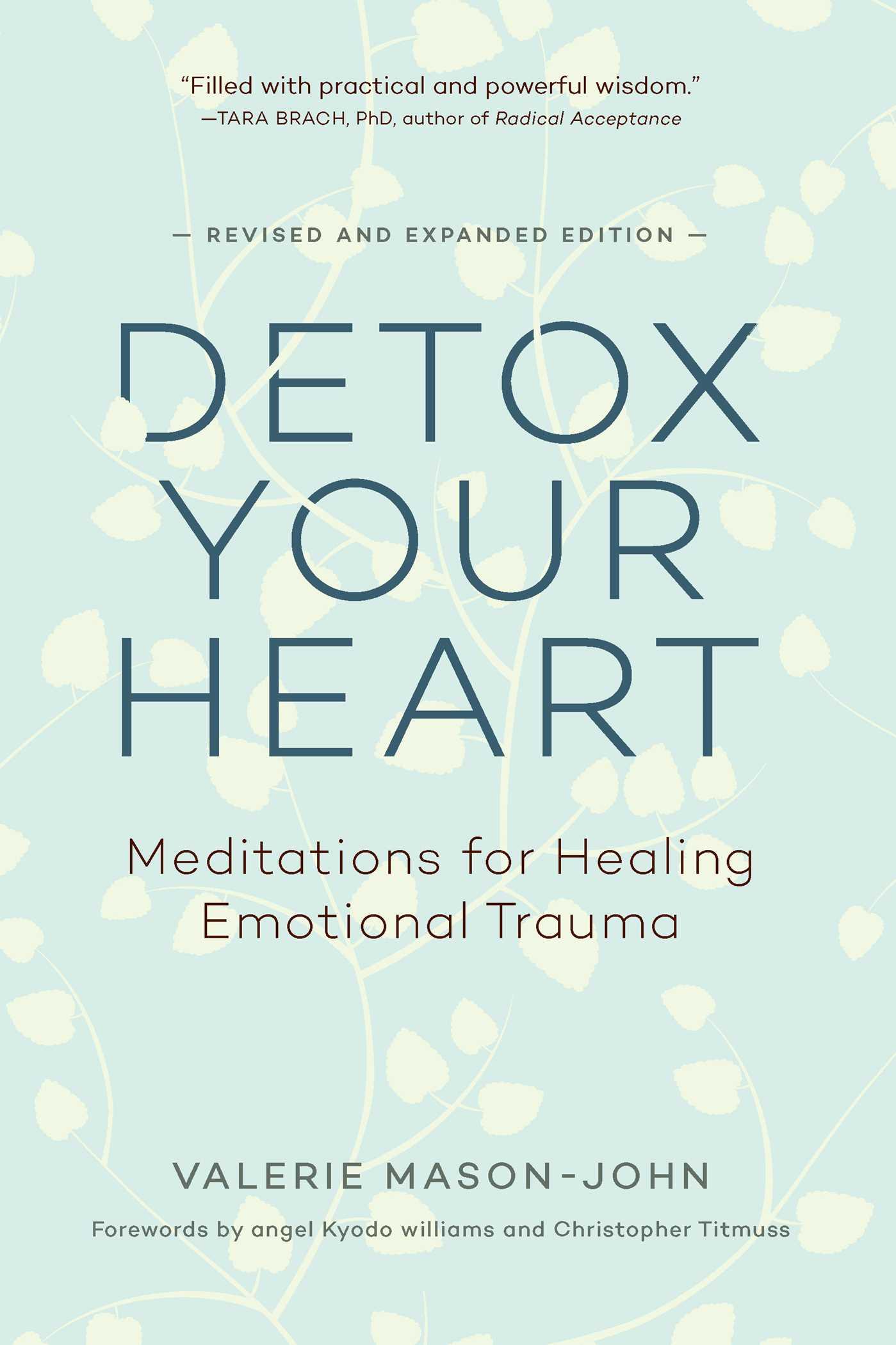 Vorderes Coverbild Detox Your Heart