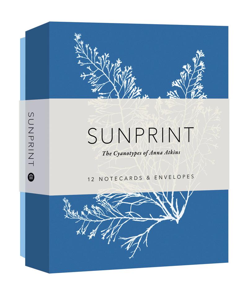 Vorderes Coverbild Sunprint Notecards: The Cyanotypes of Anna Atkins (12 Notecards; 12 Designs; Matching Envelopes; Keepsake Box)