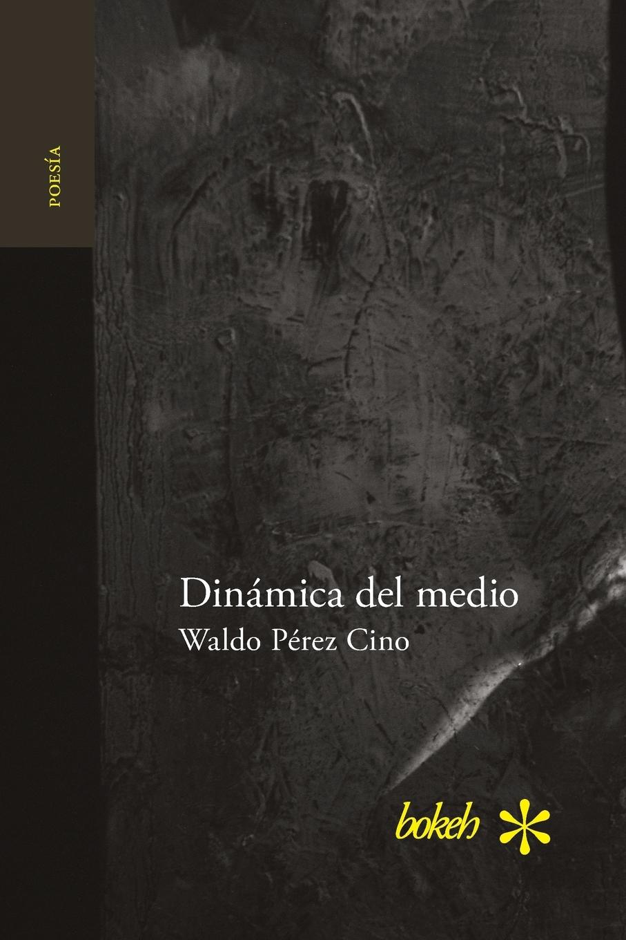 Vorderes Coverbild Dinámica del medio