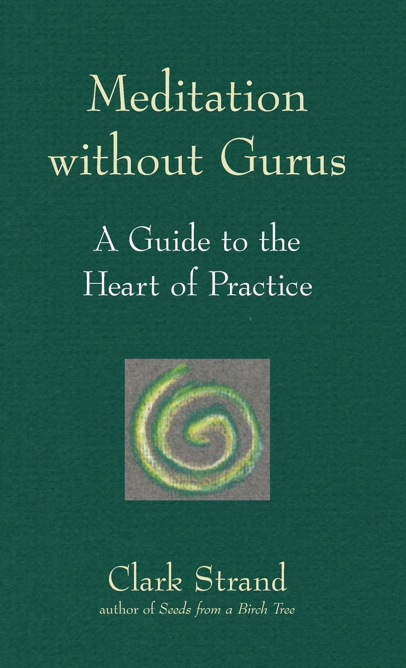 Vorderes Coverbild Meditation without Gurus