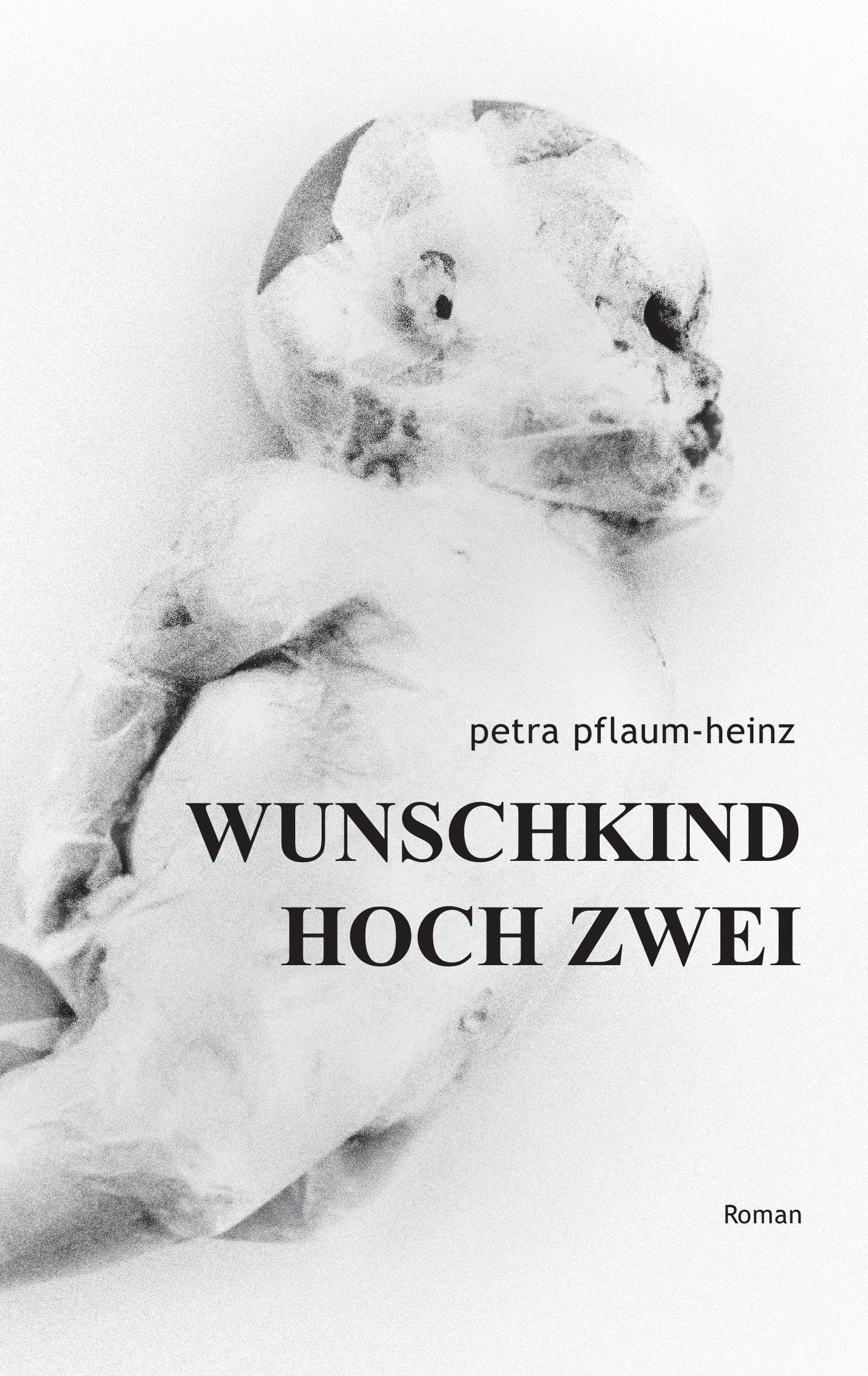 Vorderes Coverbild Wunschkind Hoch Zwei