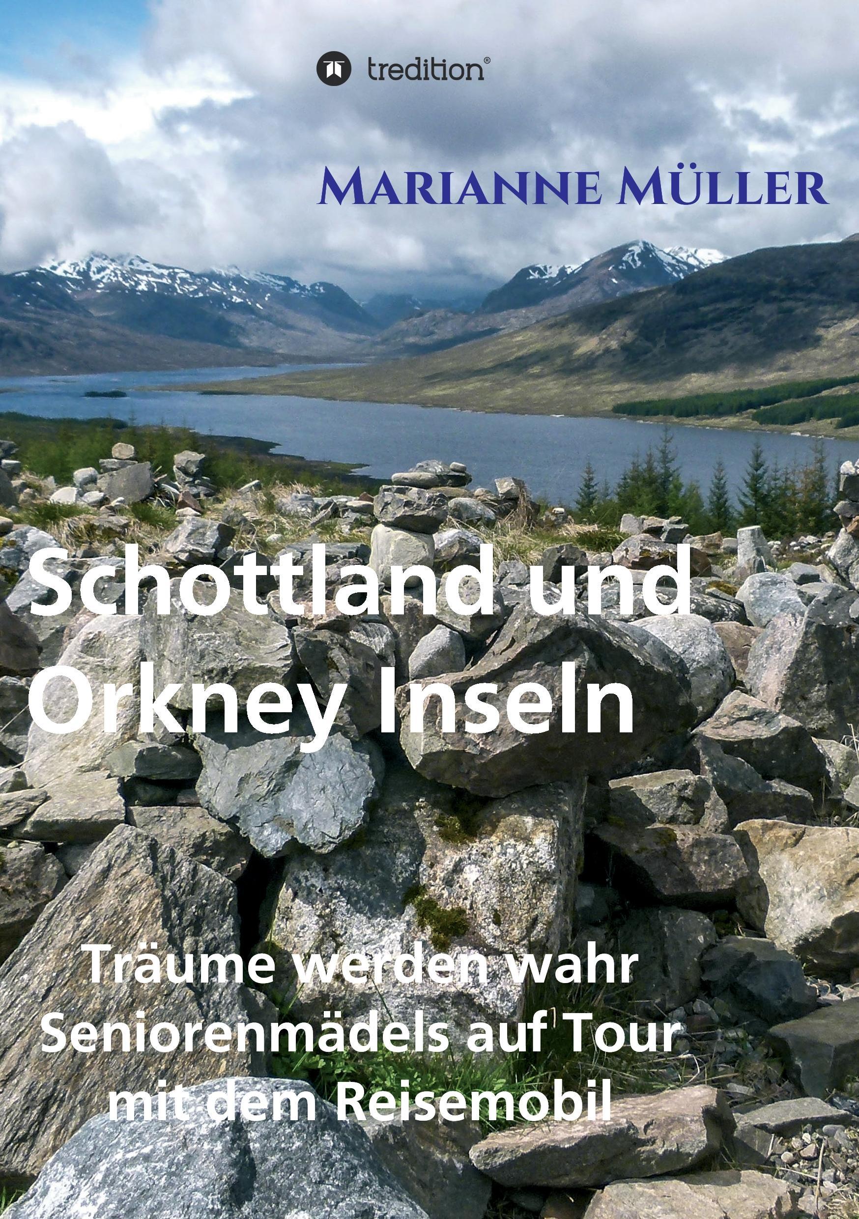 Vorderes Coverbild Träume werden wahr, Band 3