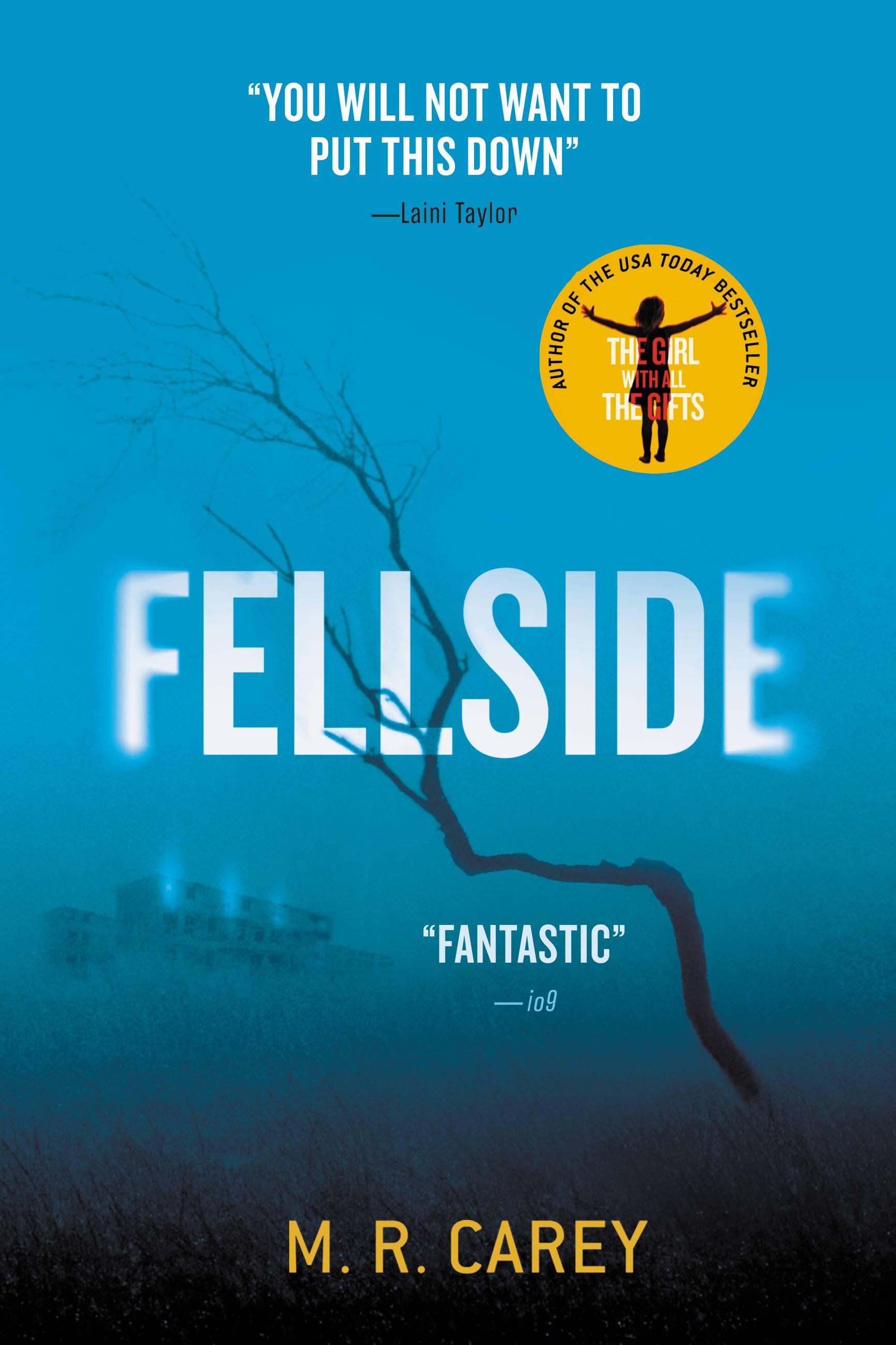 Vorderes Coverbild Fellside