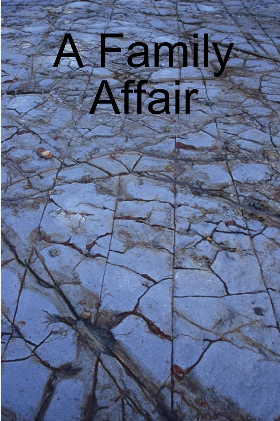 Vorderes Coverbild A Family Affair