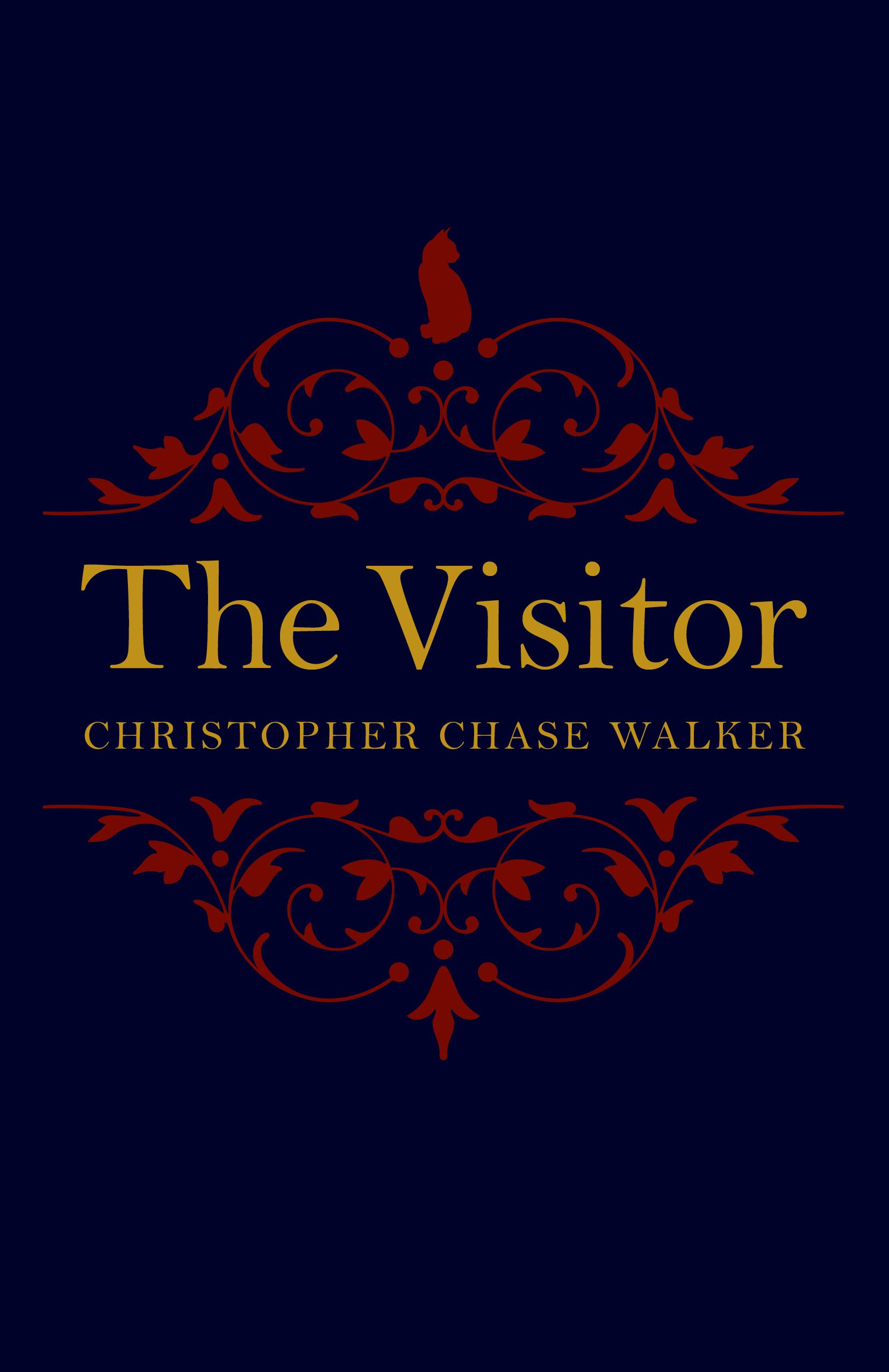 Vorderes Coverbild The Visitor