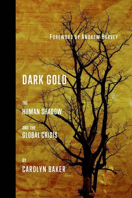 Vorderes Coverbild Dark Gold: The Human Shadow and the Global Crisis
