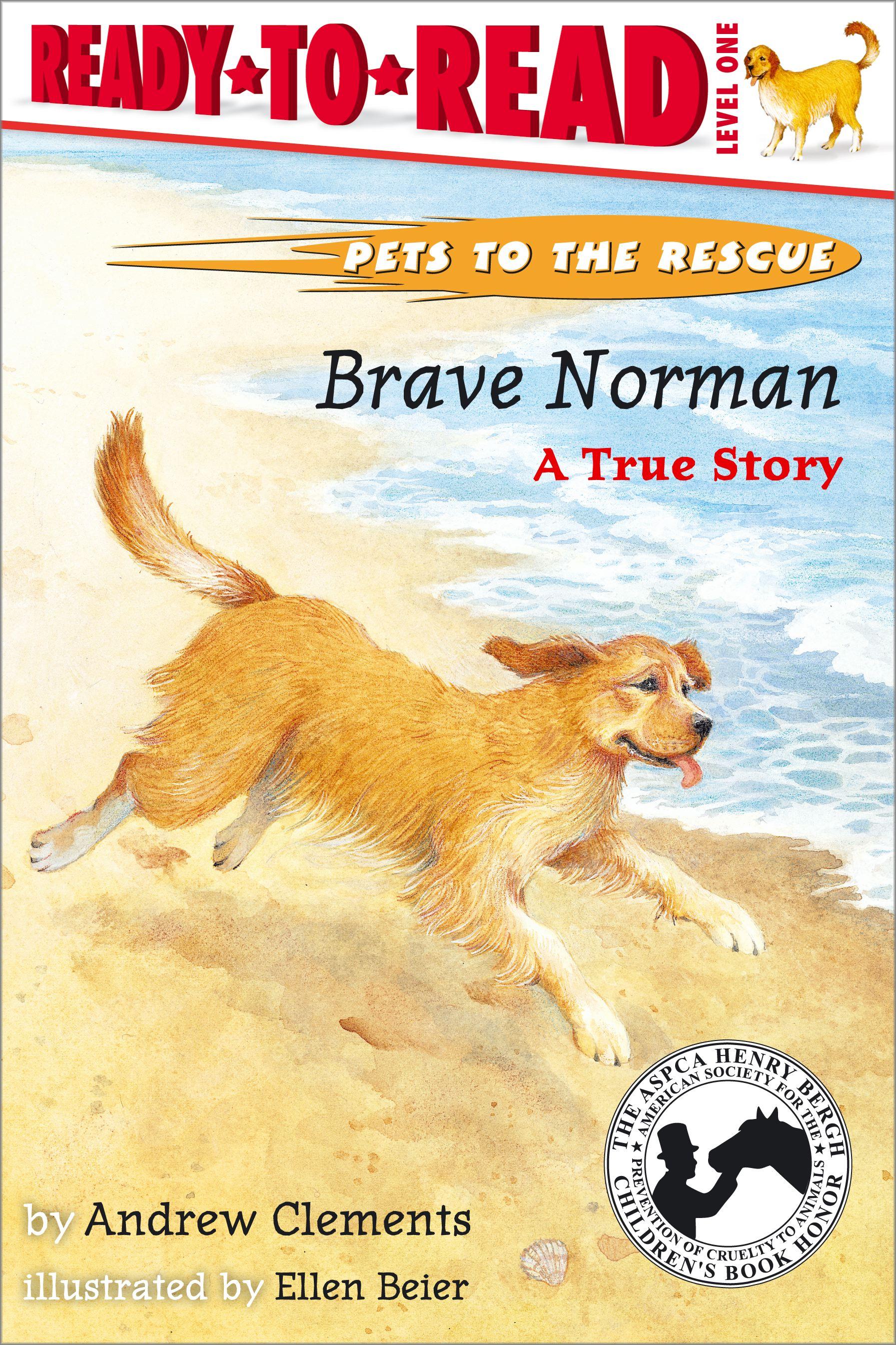 Vorderes Coverbild Brave Norman