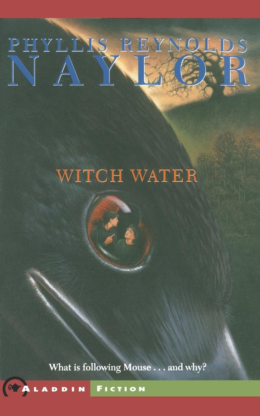 Vorderes Coverbild Witch Water