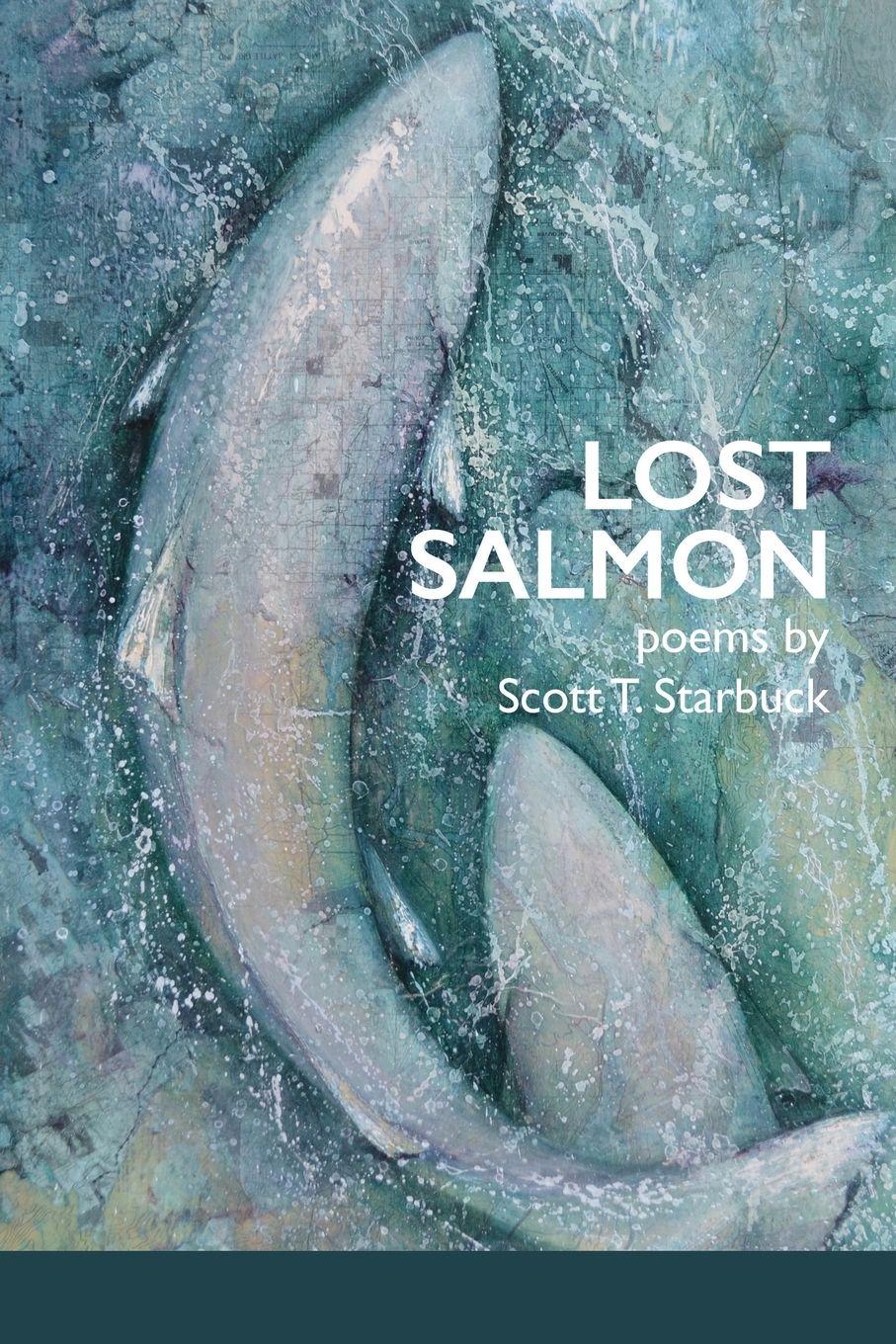 Vorderes Coverbild Lost Salmon