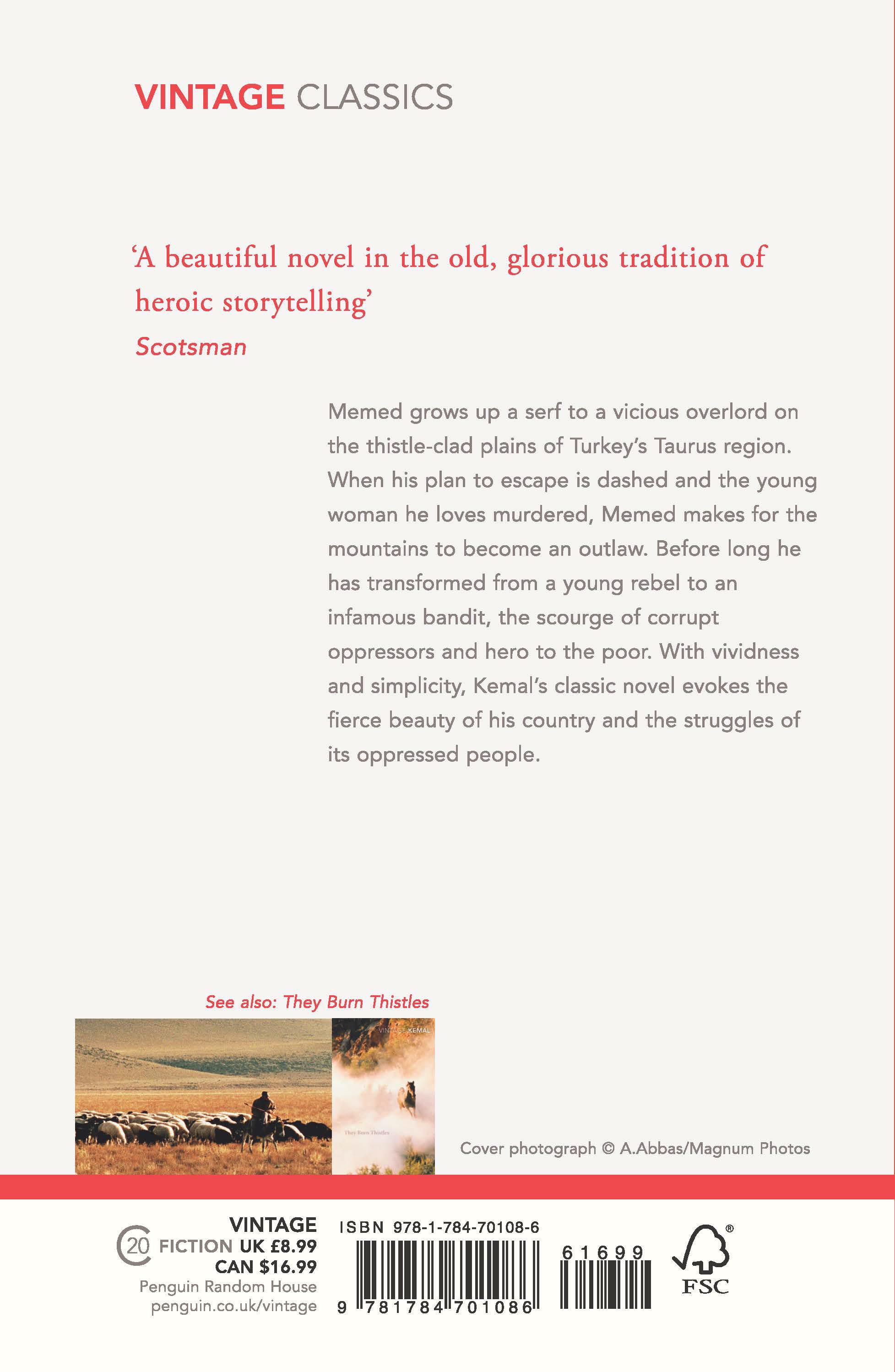 Rückseitencover Memed, My Hawk