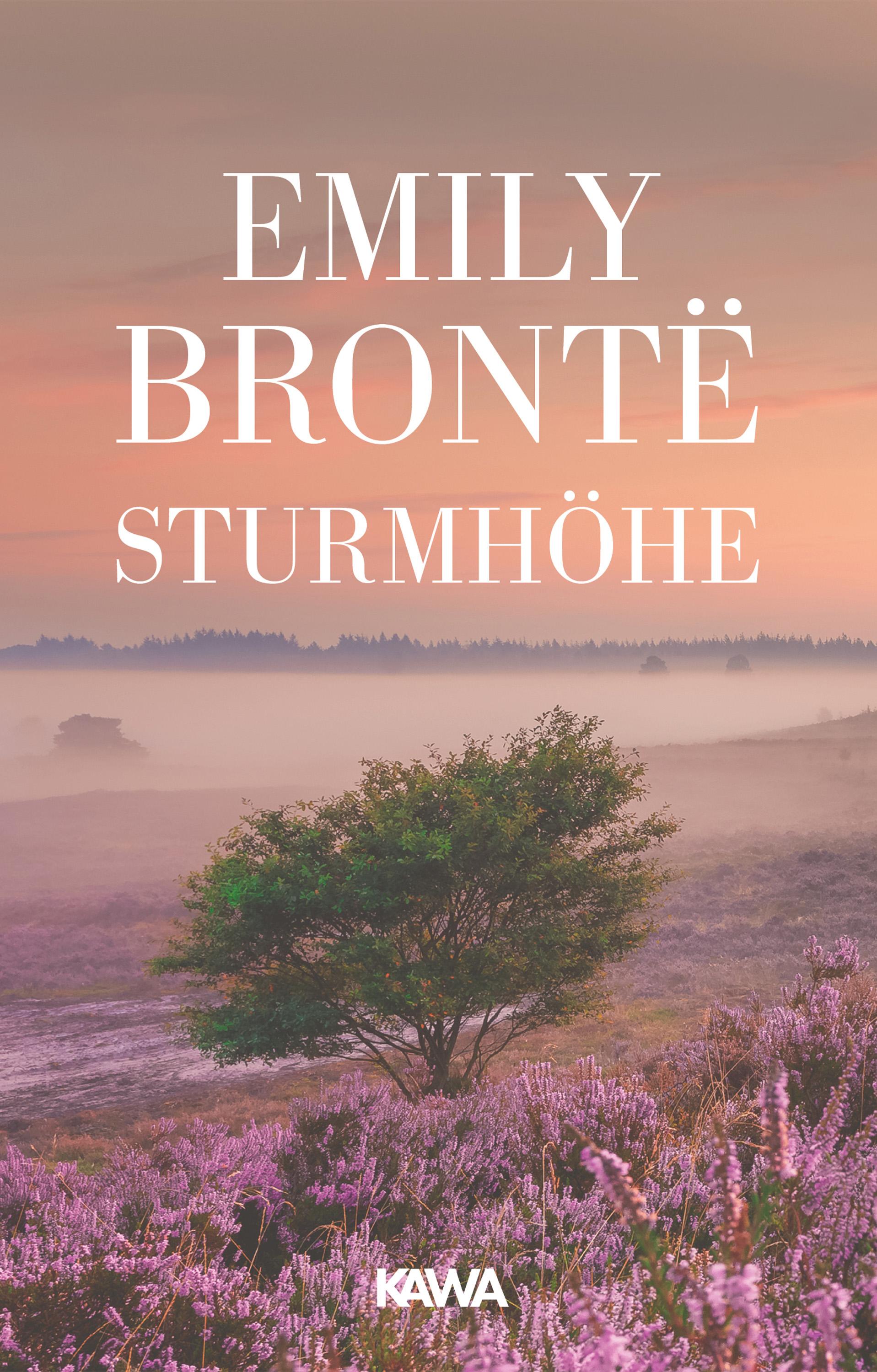 Vorderes Coverbild Sturmhöhe