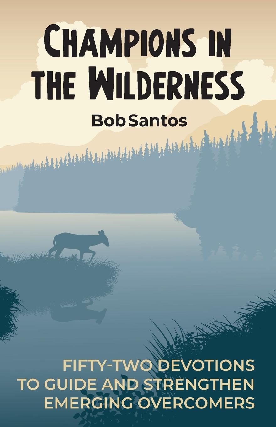 Vorderes Coverbild Champions in the Wilderness