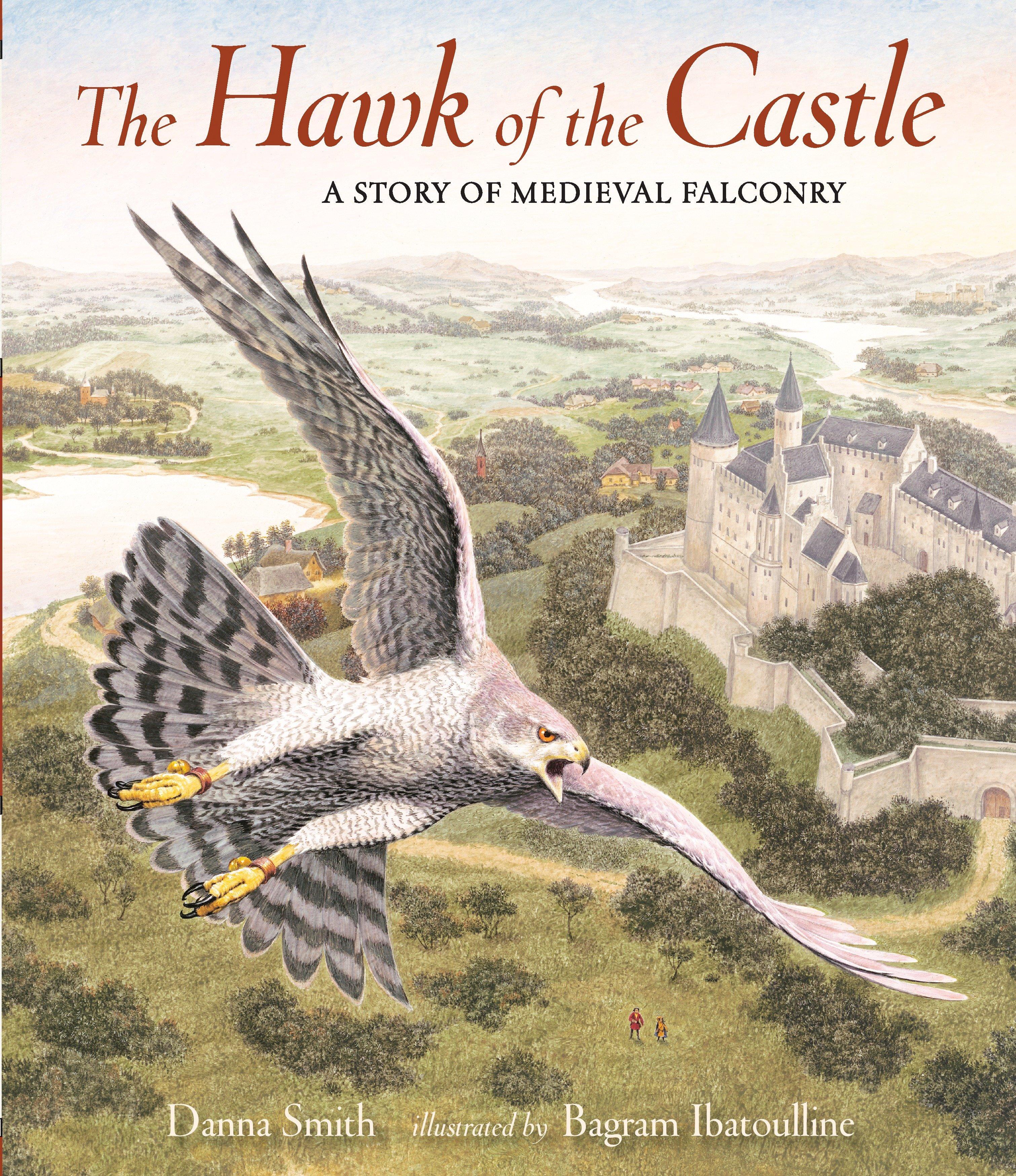 Vorderes Coverbild The Hawk of the Castle