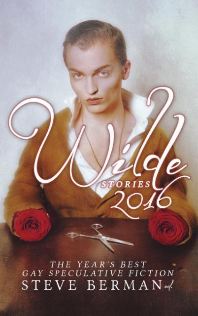 Vorderes Coverbild Wilde Stories 2016