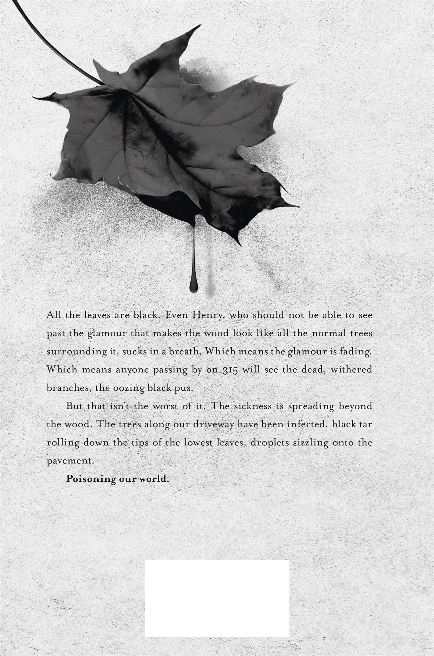 Rückseitencover The Wood