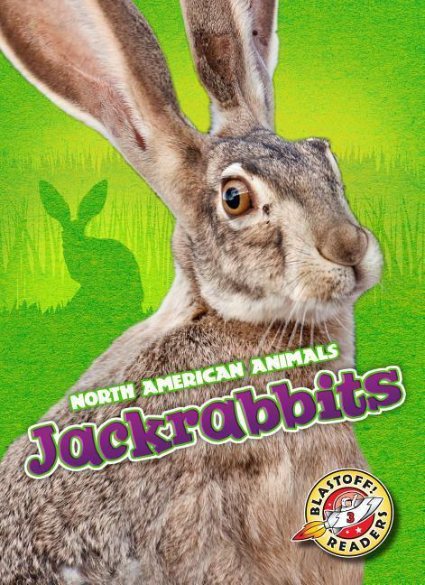 Vorderes Coverbild Jackrabbits
