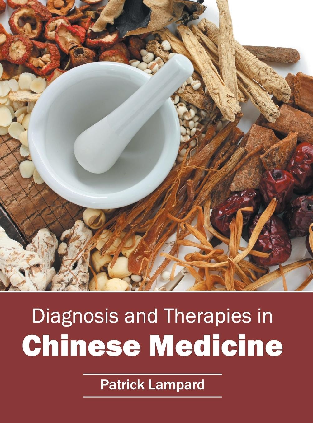 Vorderes Coverbild Diagnosis and Therapies in Chinese Medicine