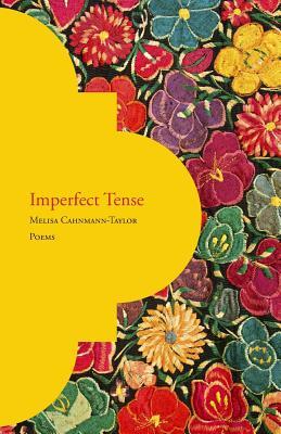 Vorderes Coverbild Imperfect Tense