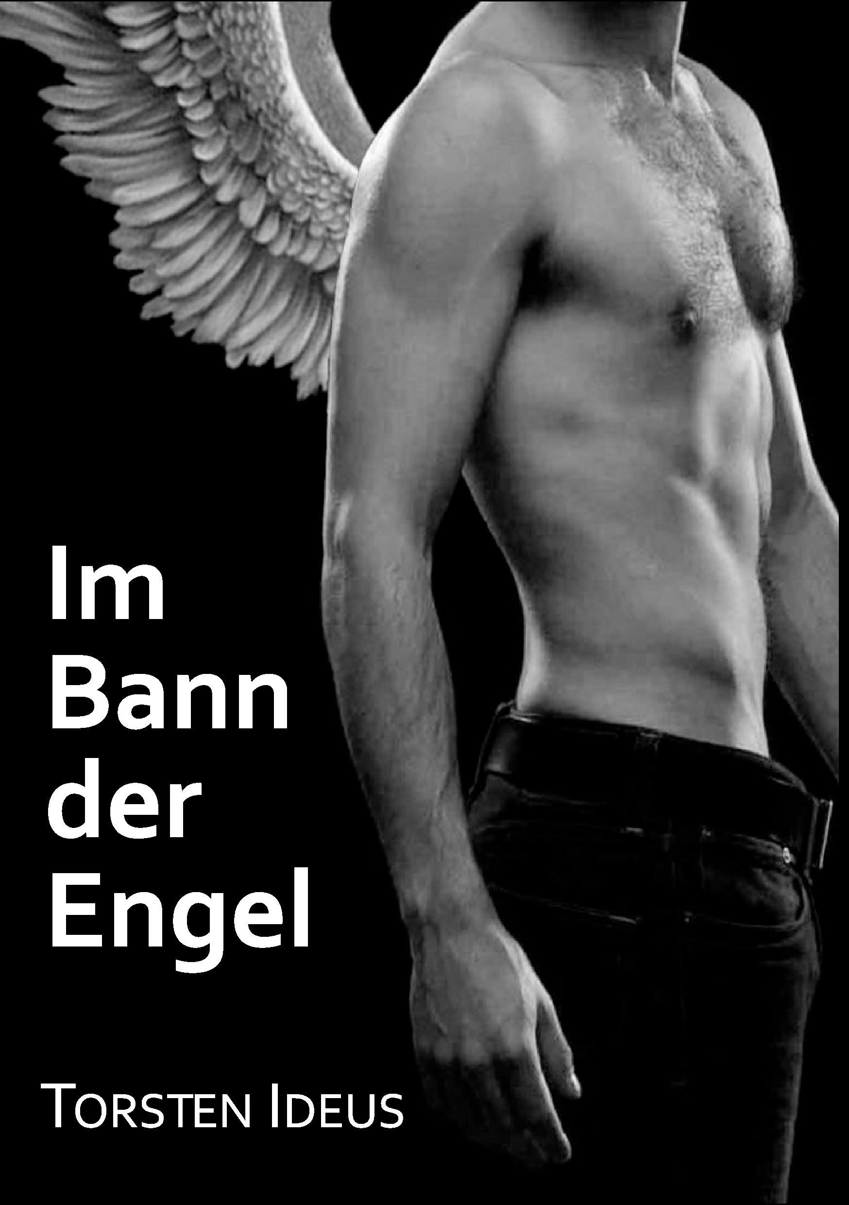 Vorderes Coverbild Im Bann der Engel