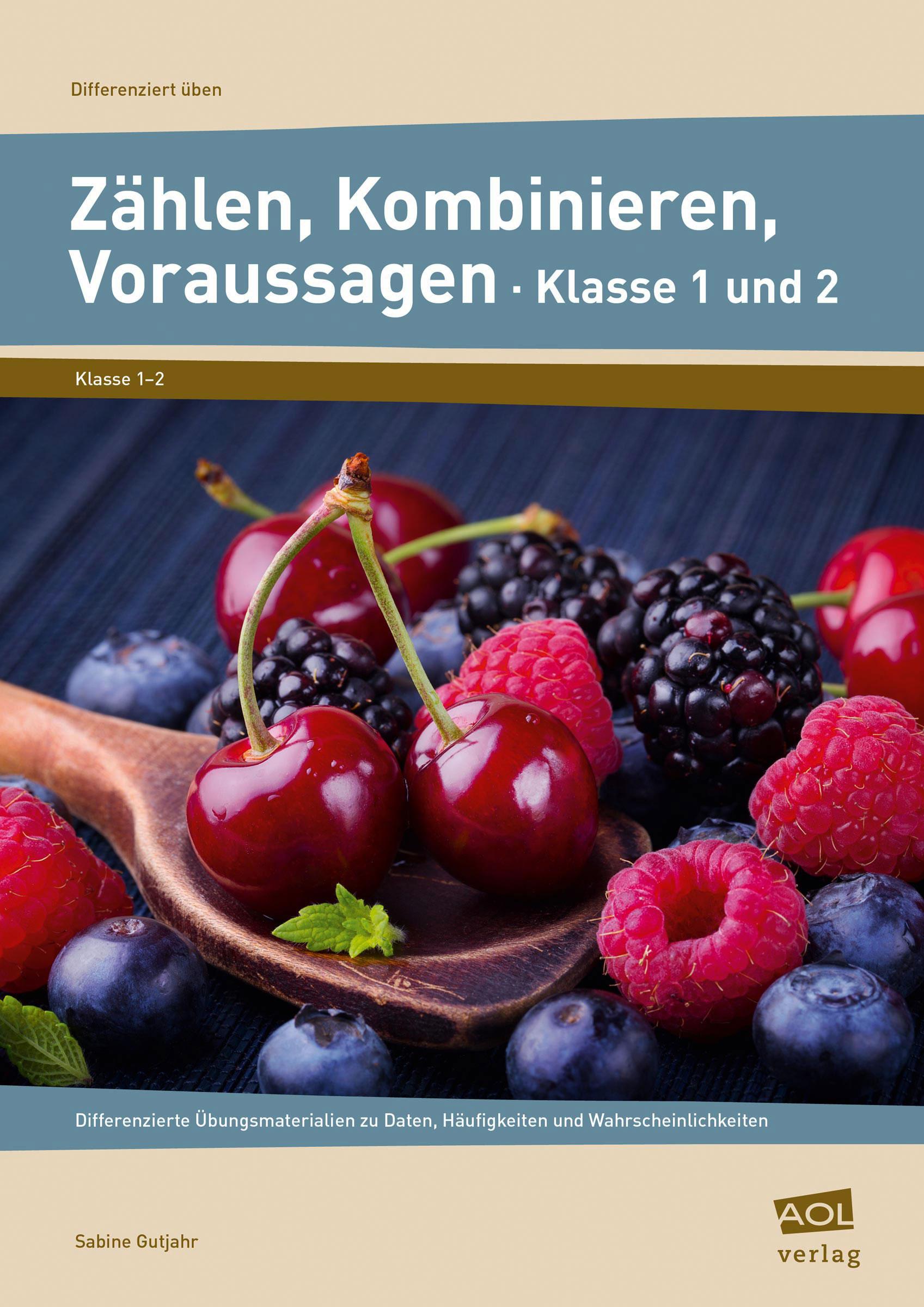 Vorderes Coverbild Zählen, Kombinieren, Voraussagen - Klasse 1 und 2