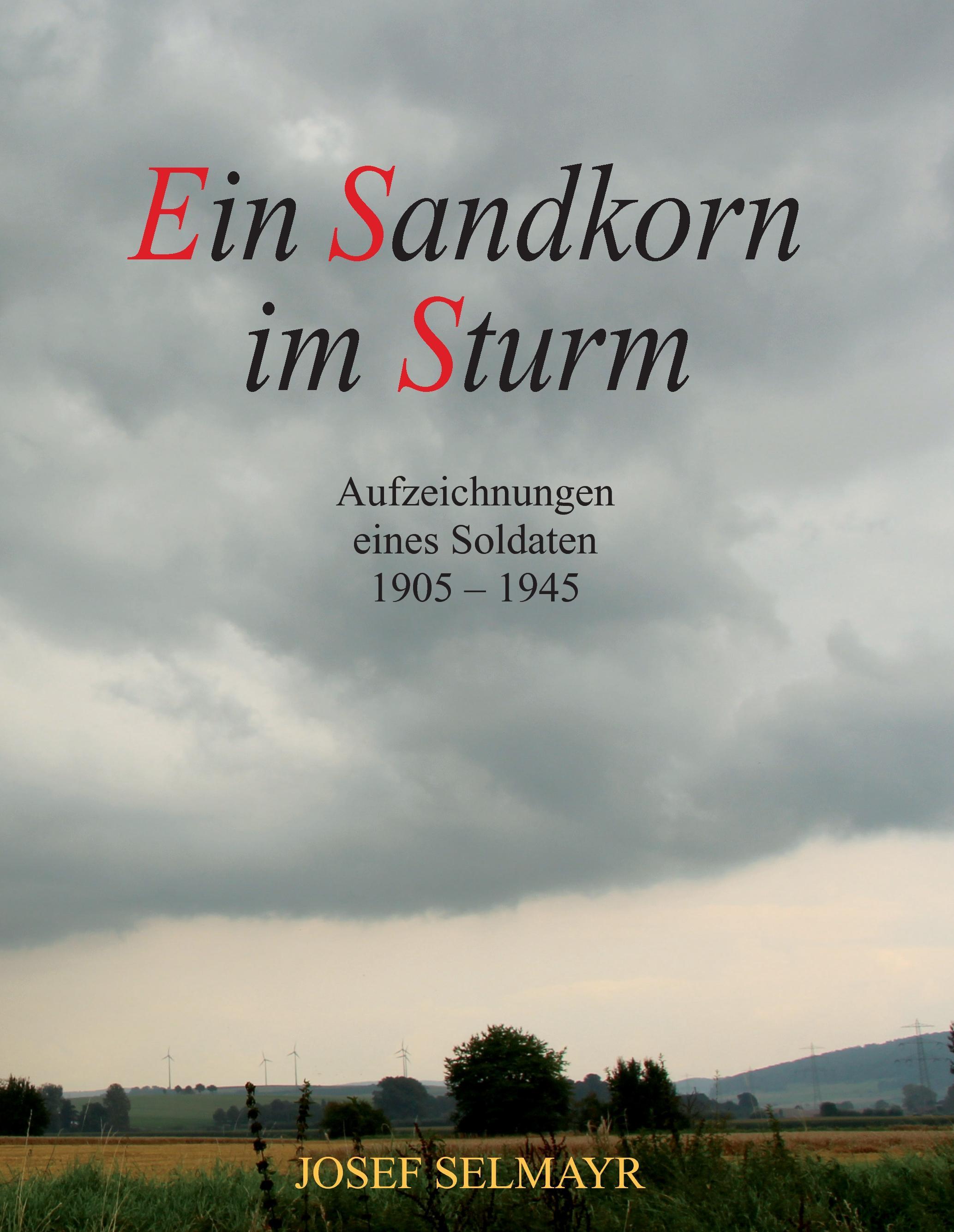 Vorderes Coverbild Ein Sandkorn im Sturm